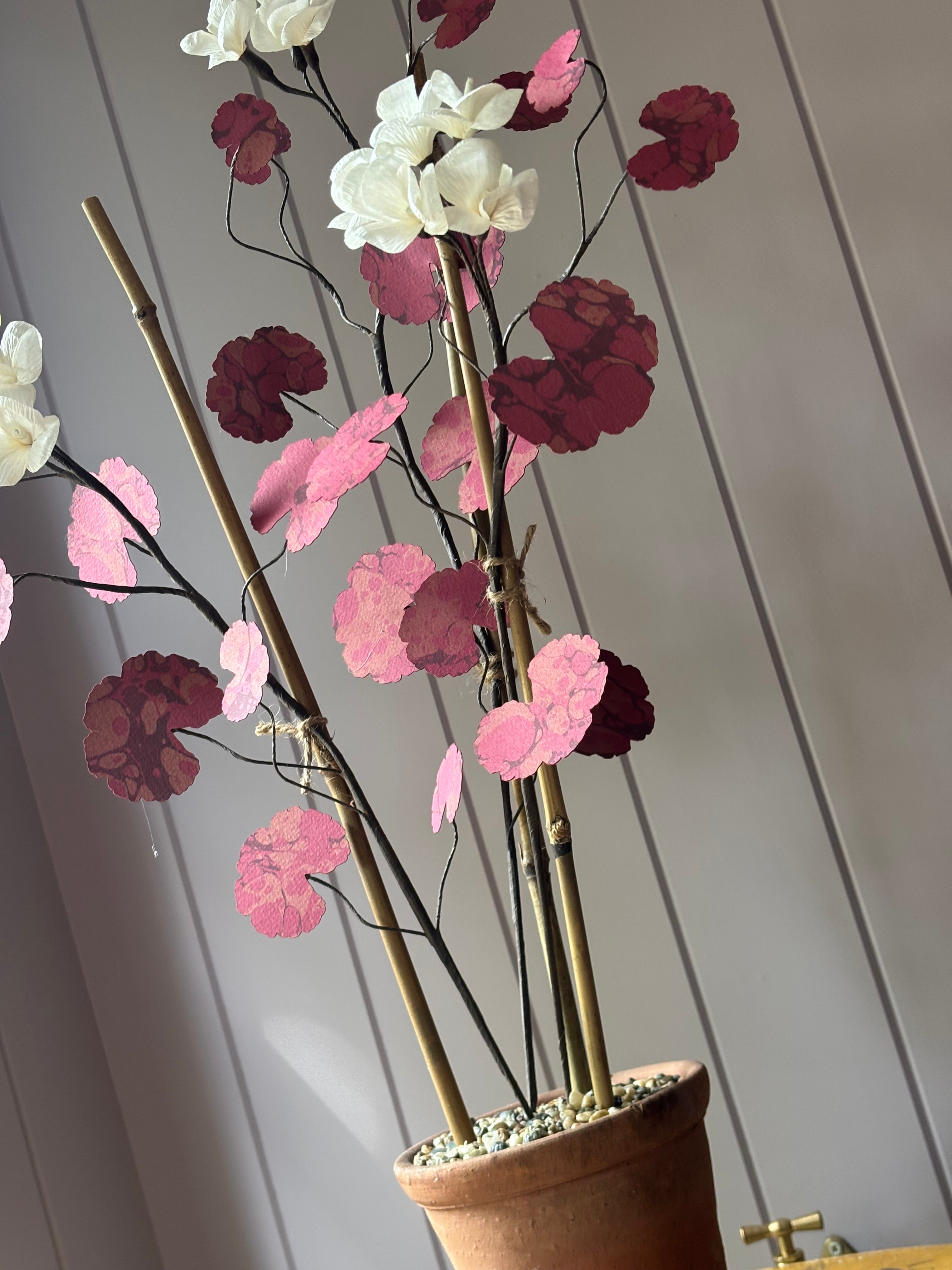 Paper geranium