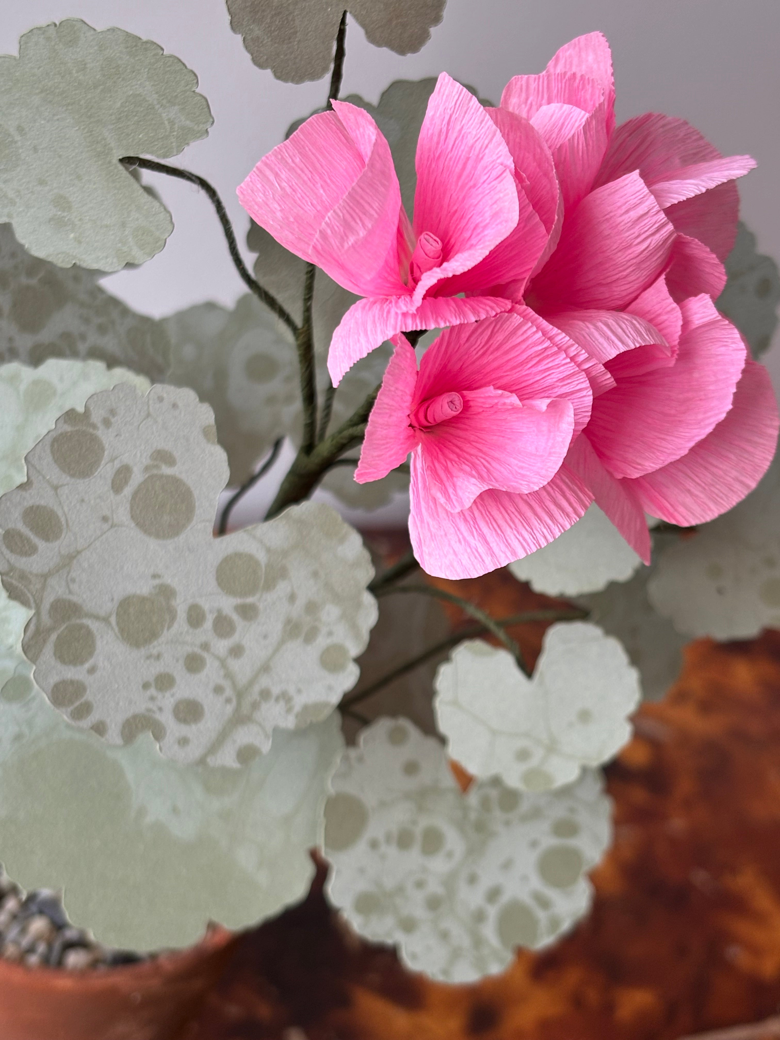 Paper Geranium