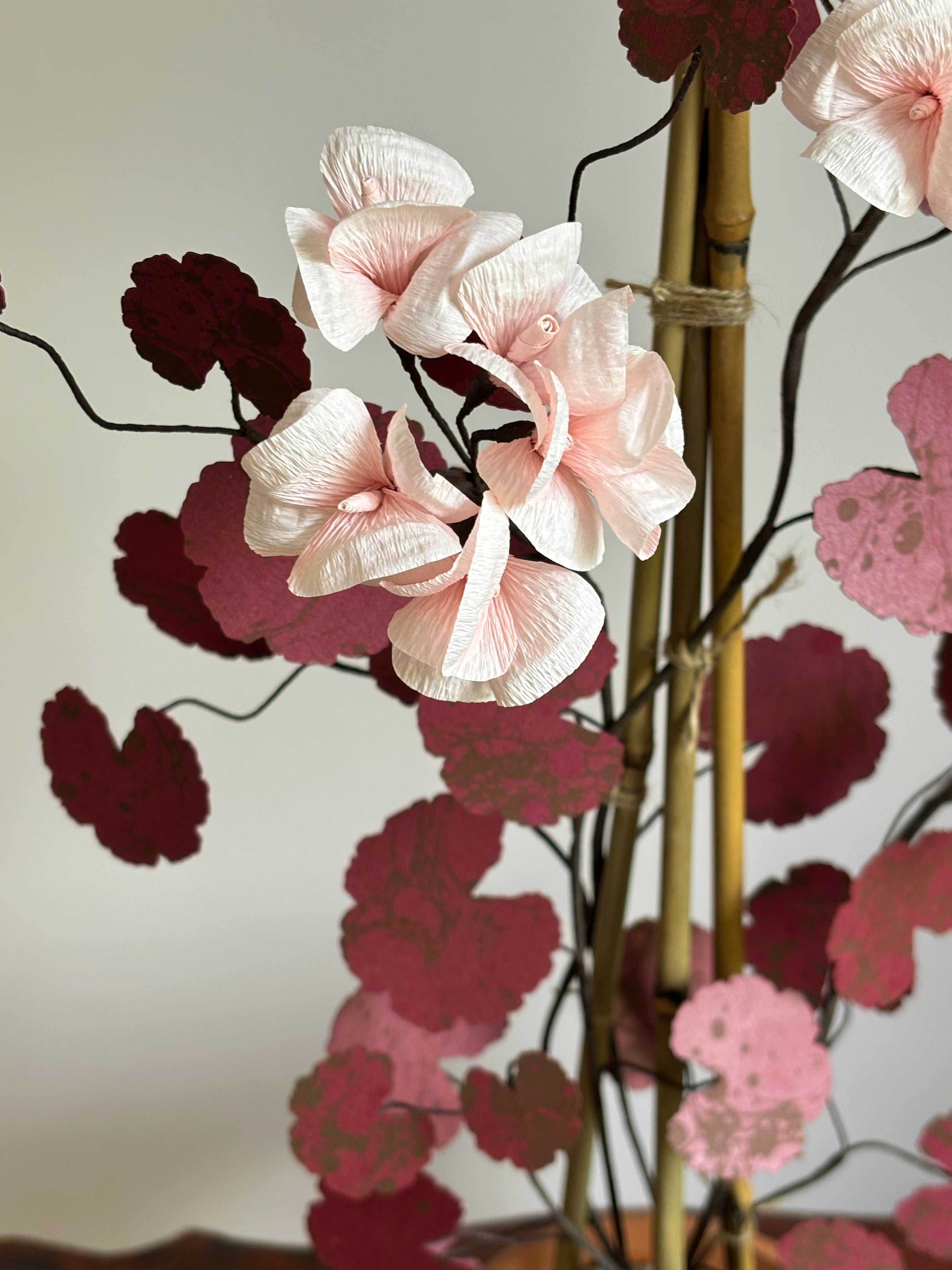 Paper Geranium