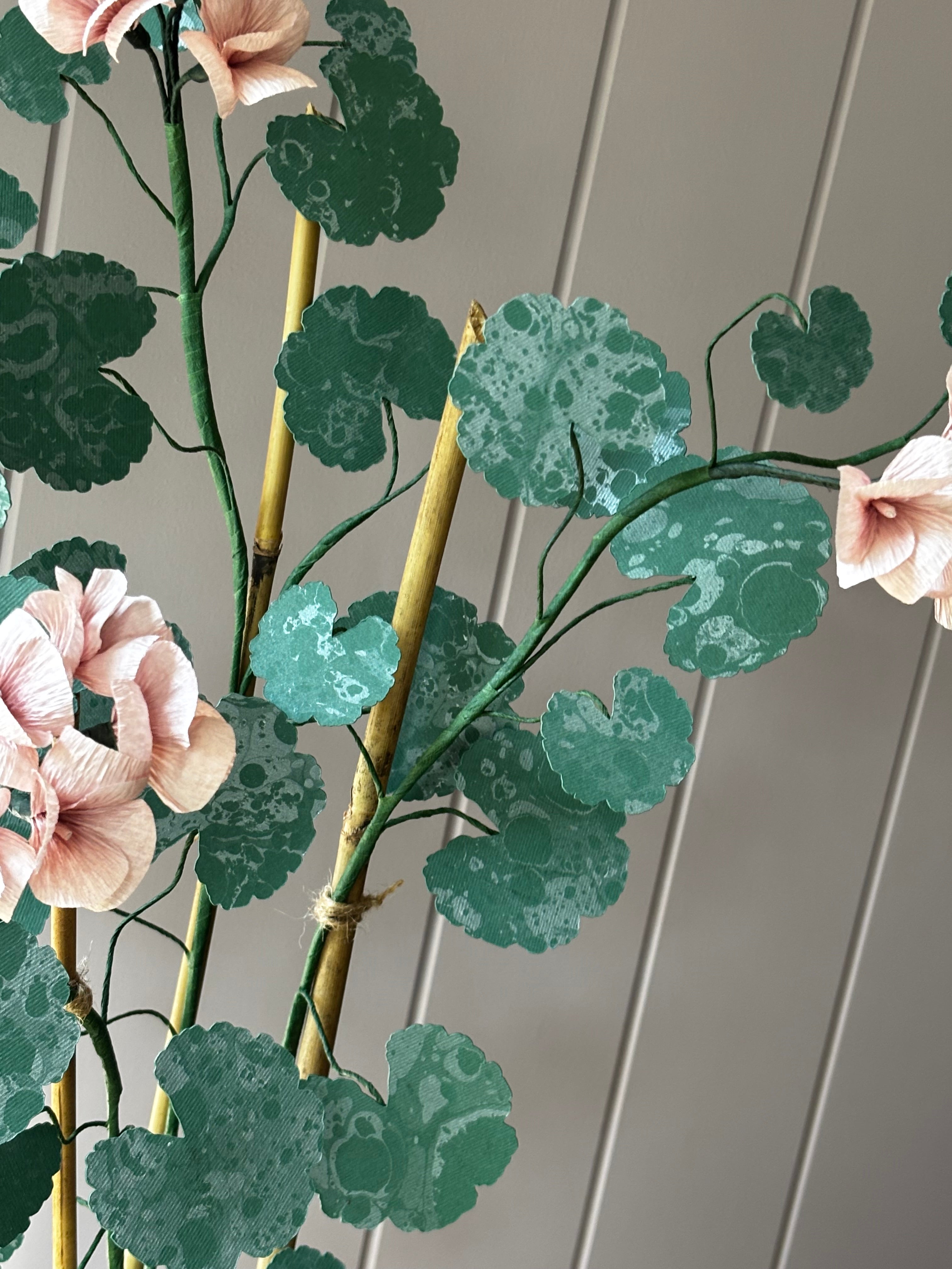 Paper geranium