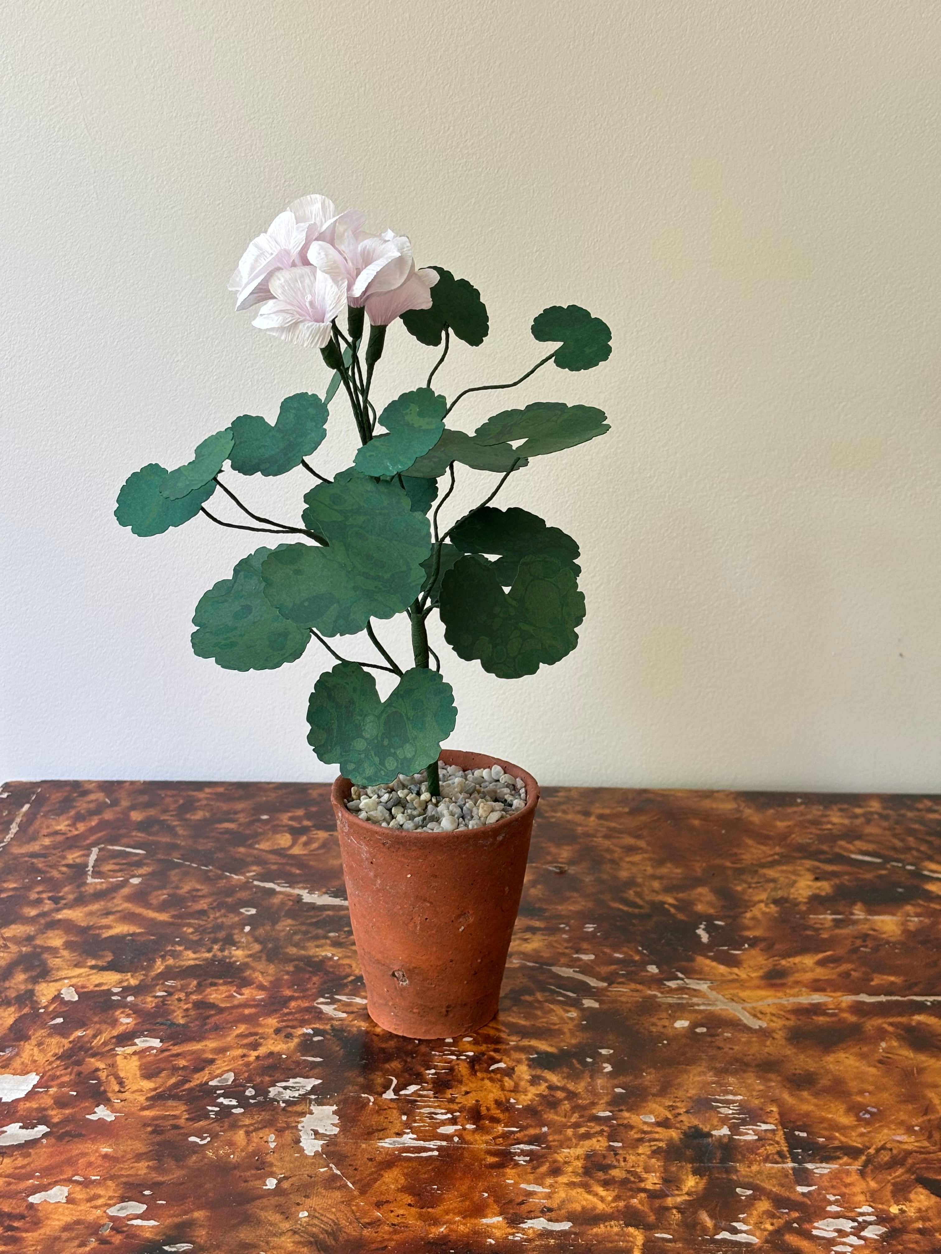 Paper Geranium