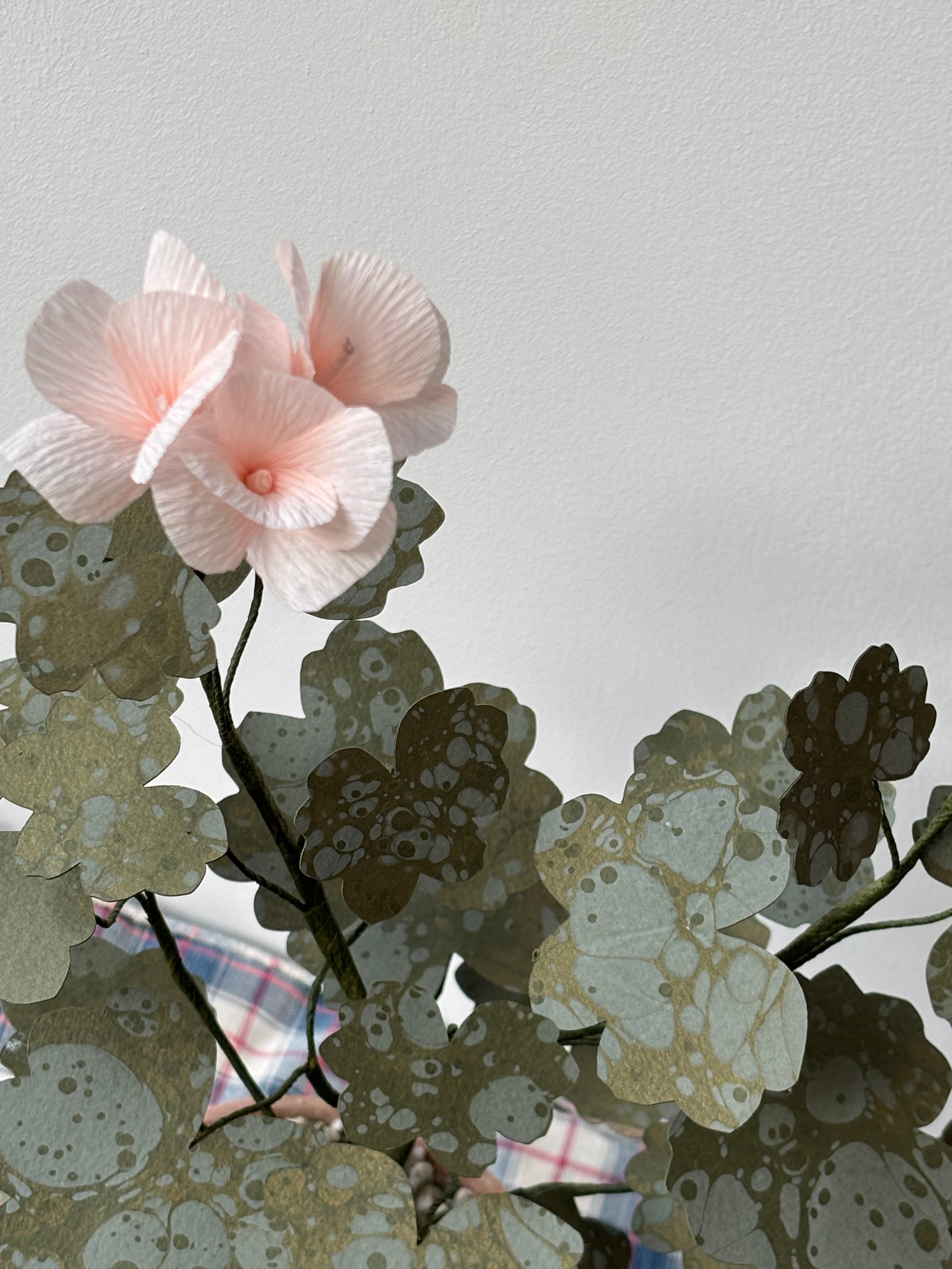 Paper Geranium