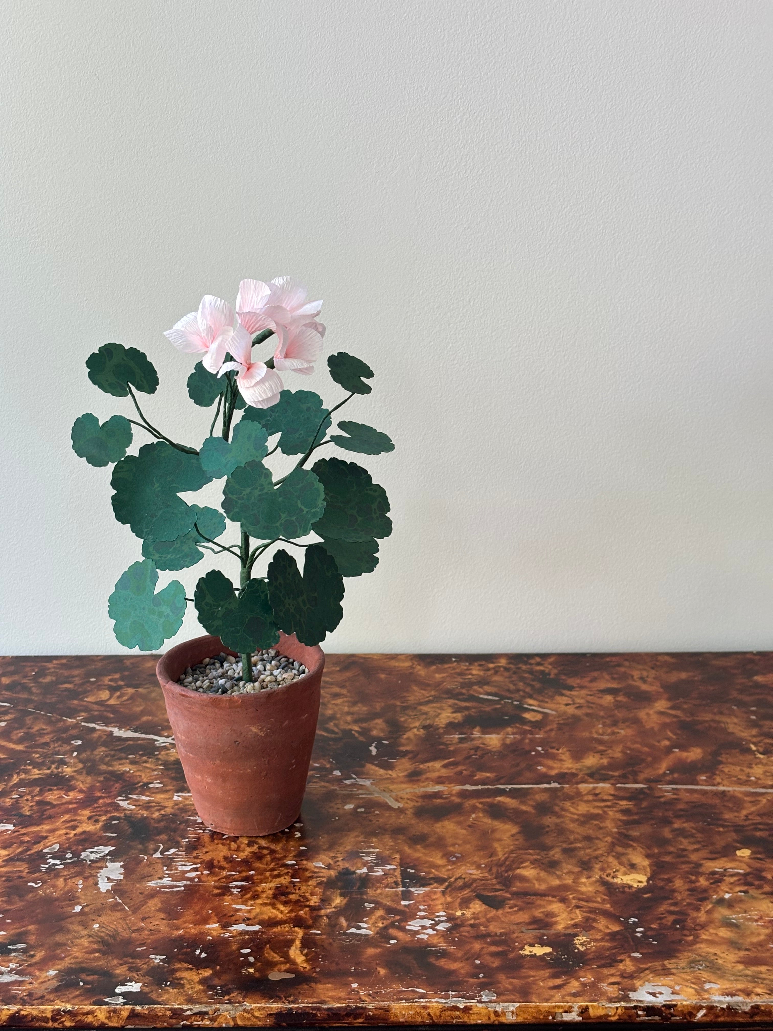 Paper Geranium