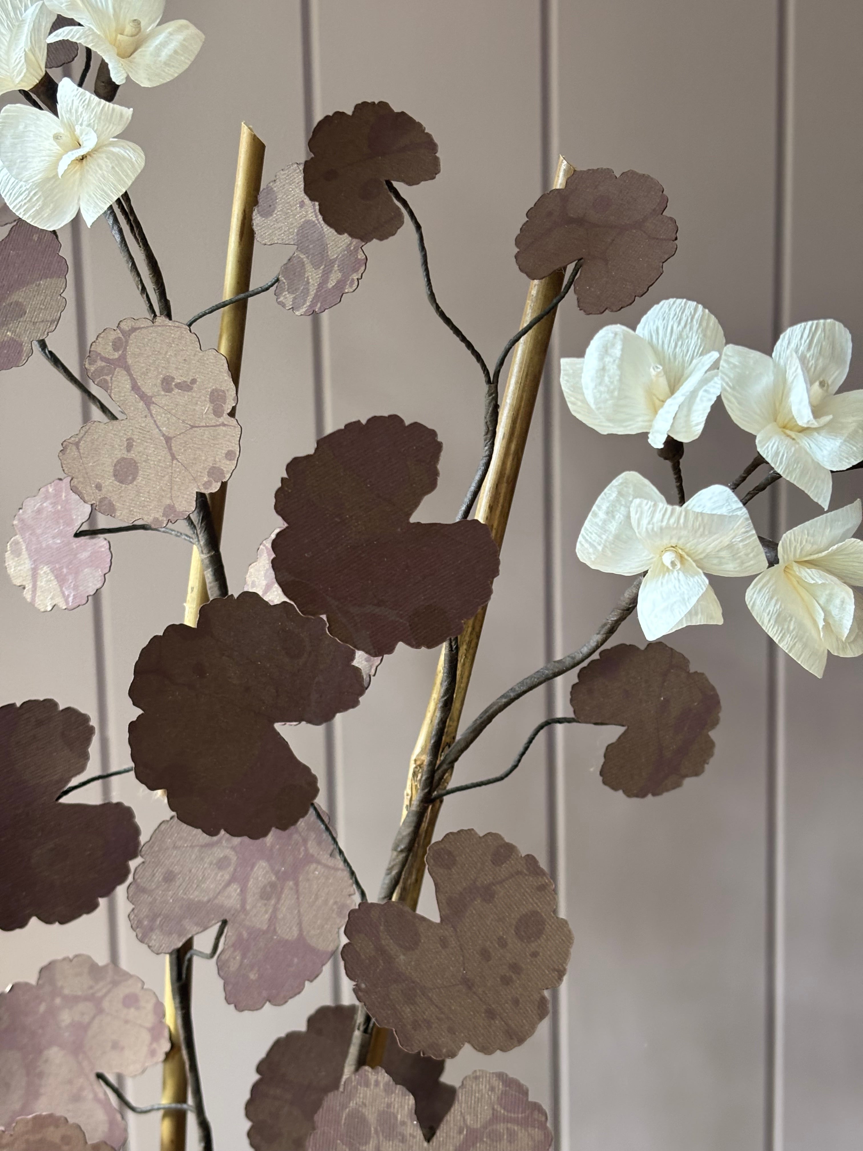 Paper geranium