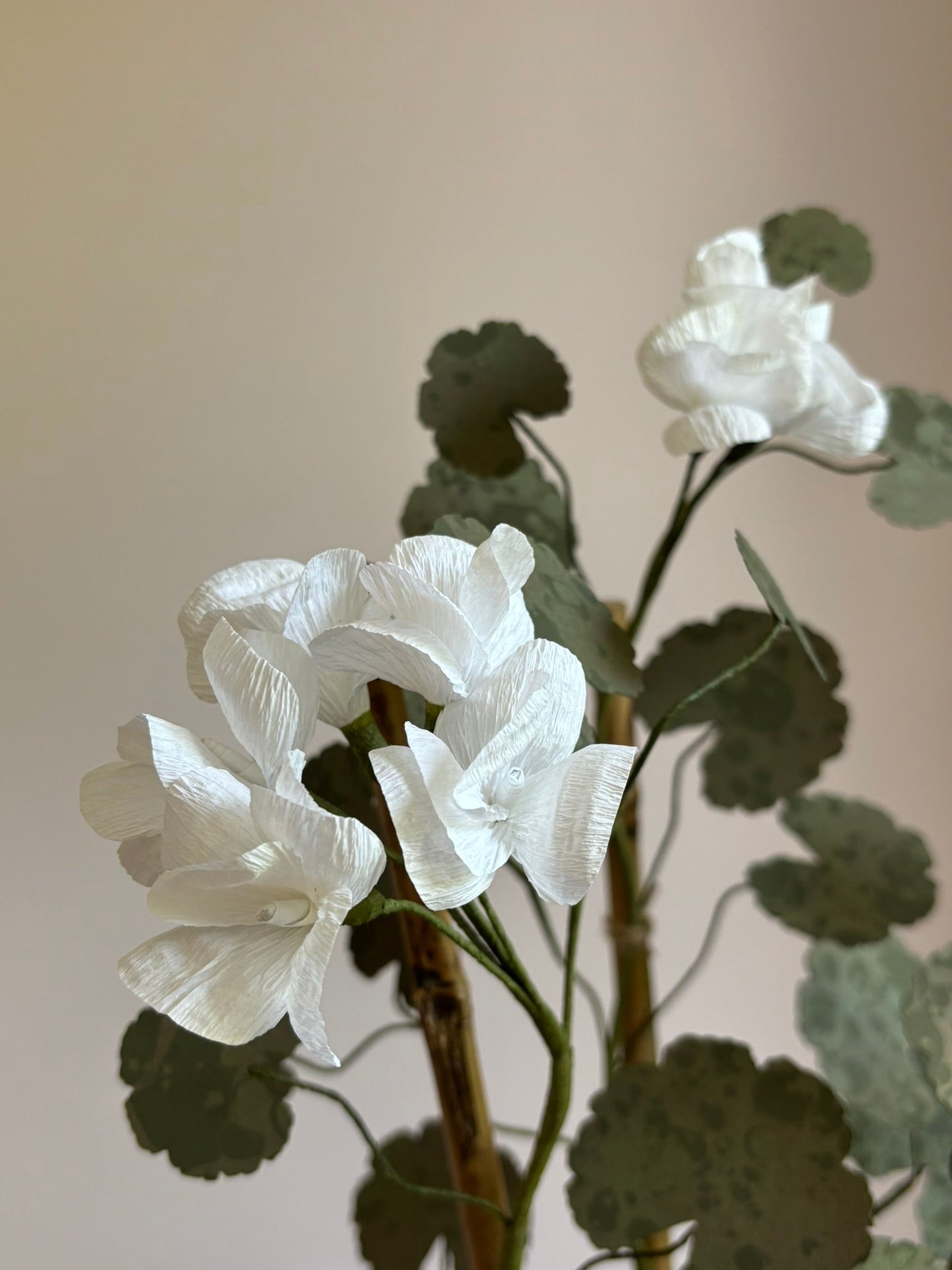 Paper Geranium