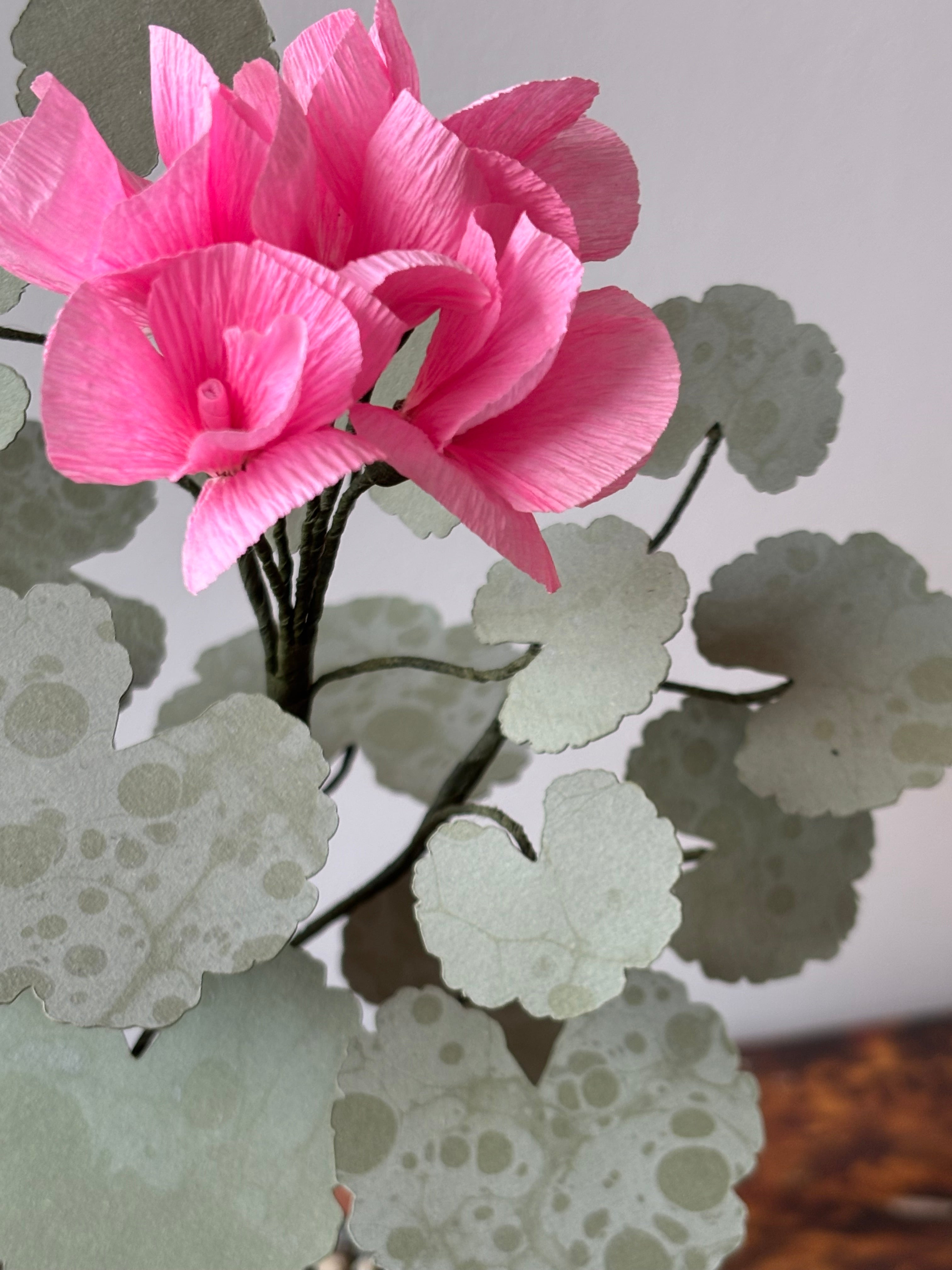 Paper Geranium