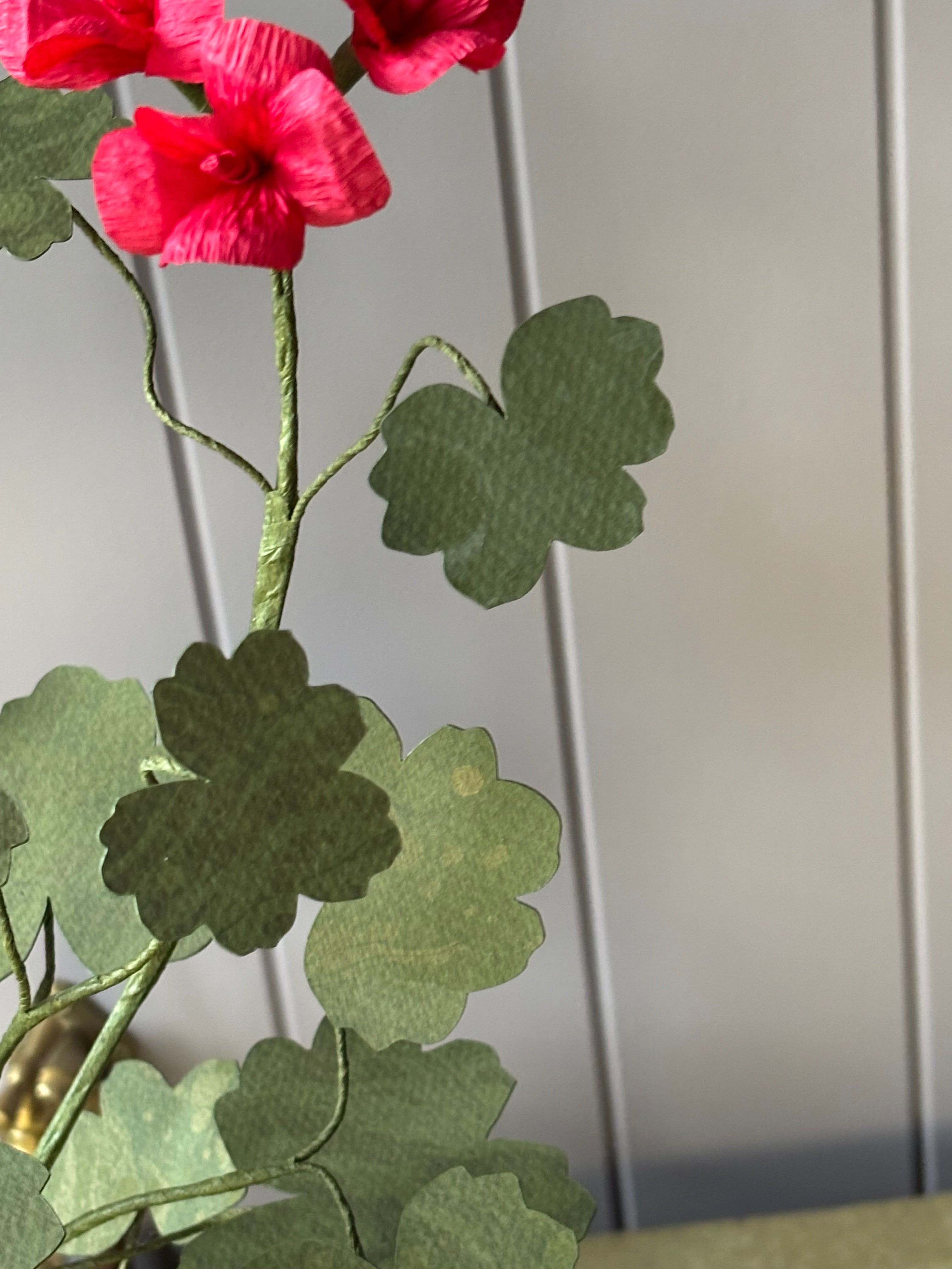 Paper Geranium