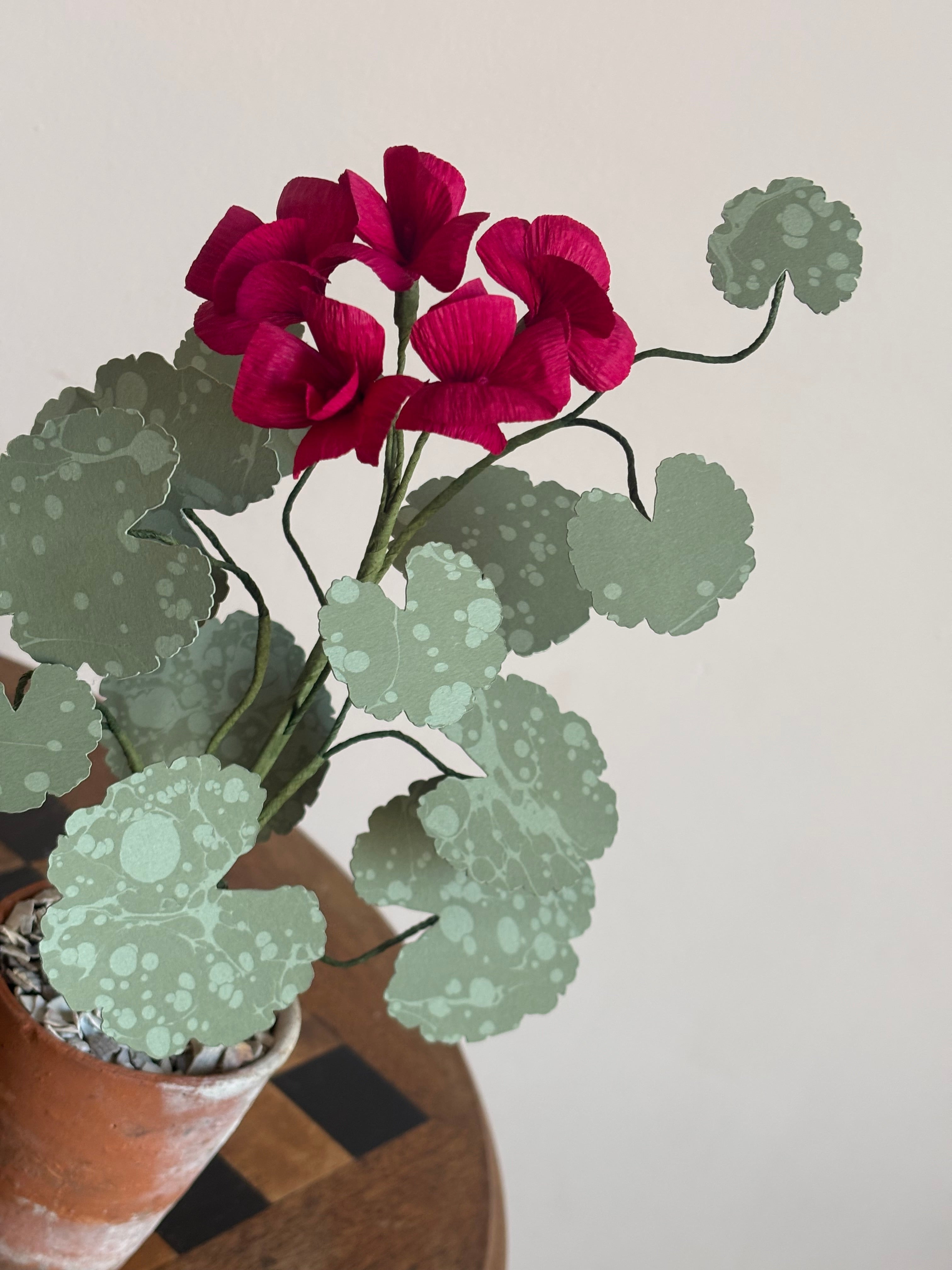 Paper Geranium