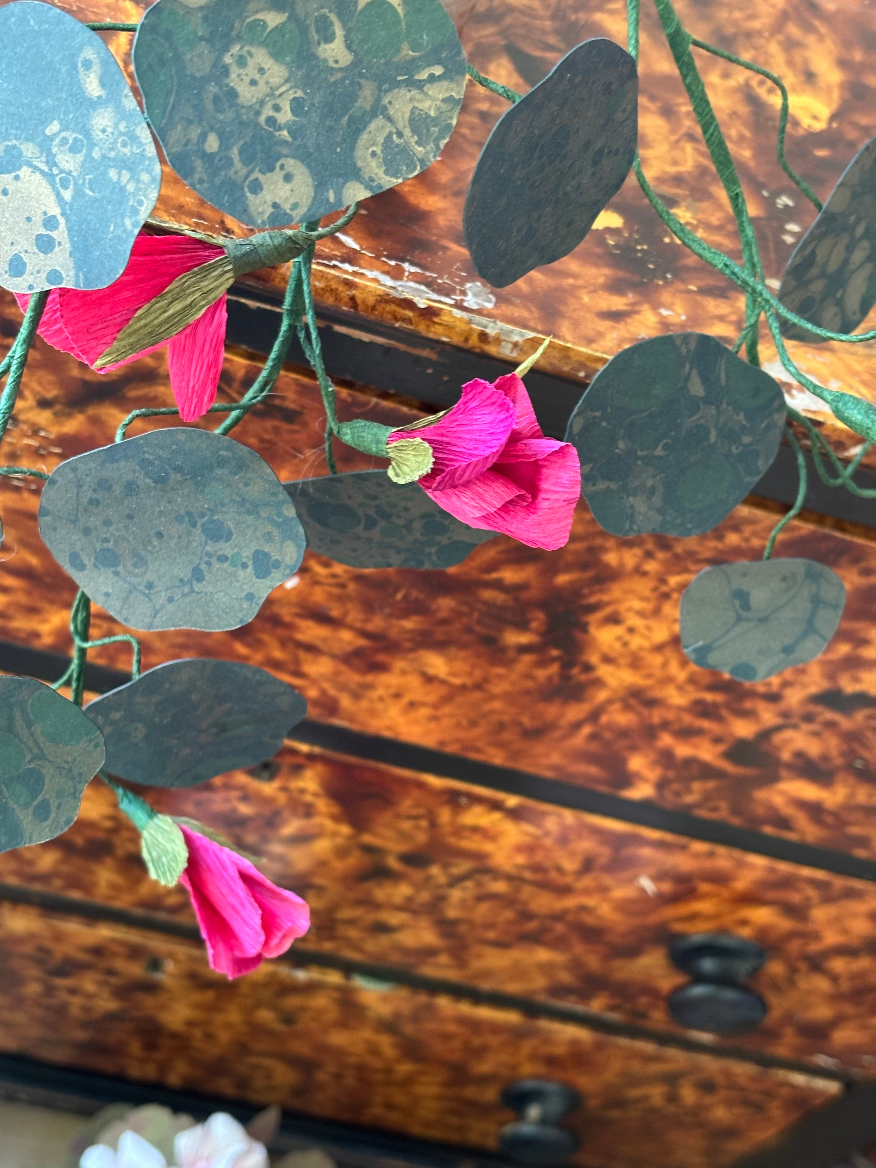 Paper nasturtium, trailing