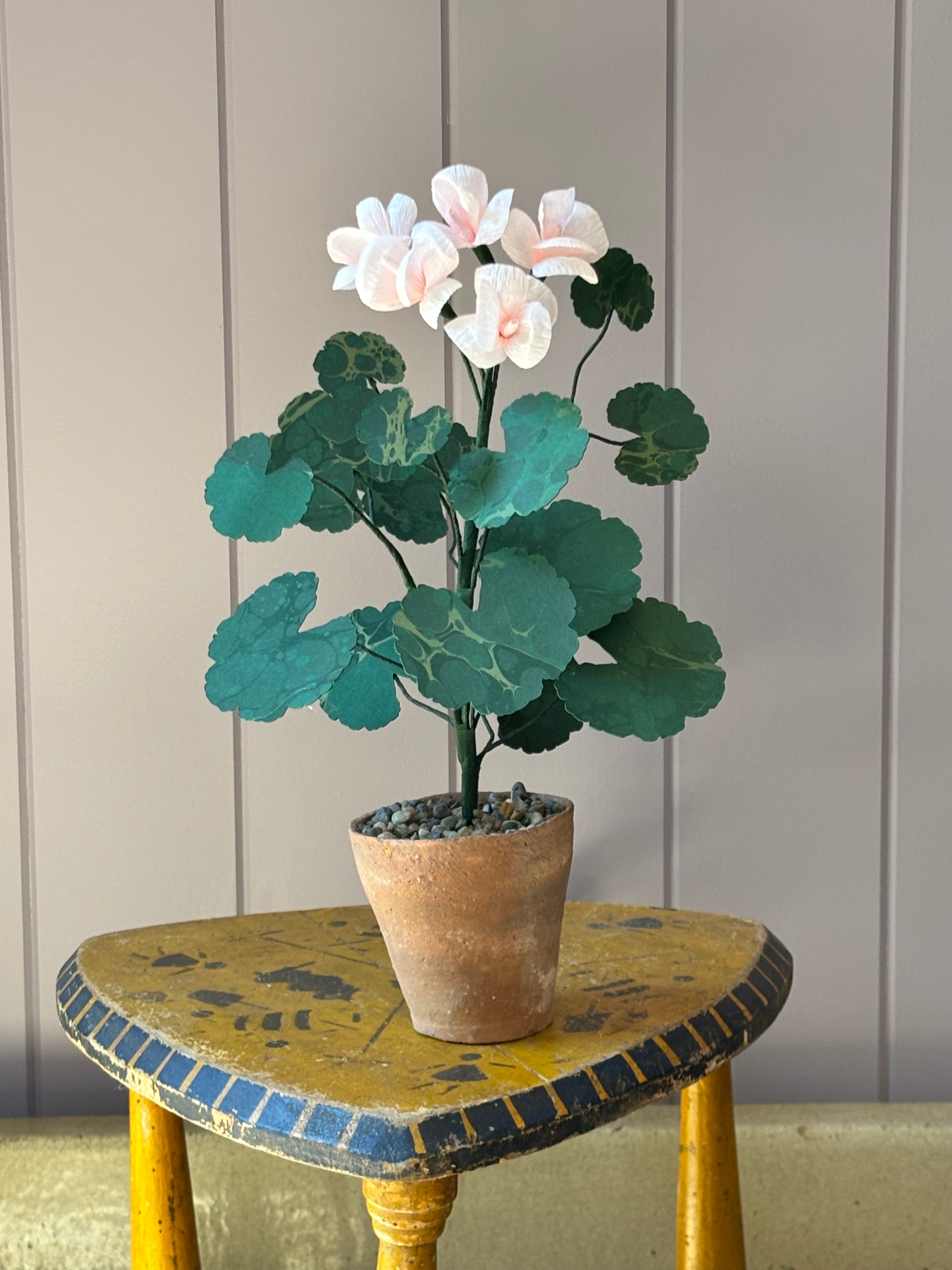 Paper geranium