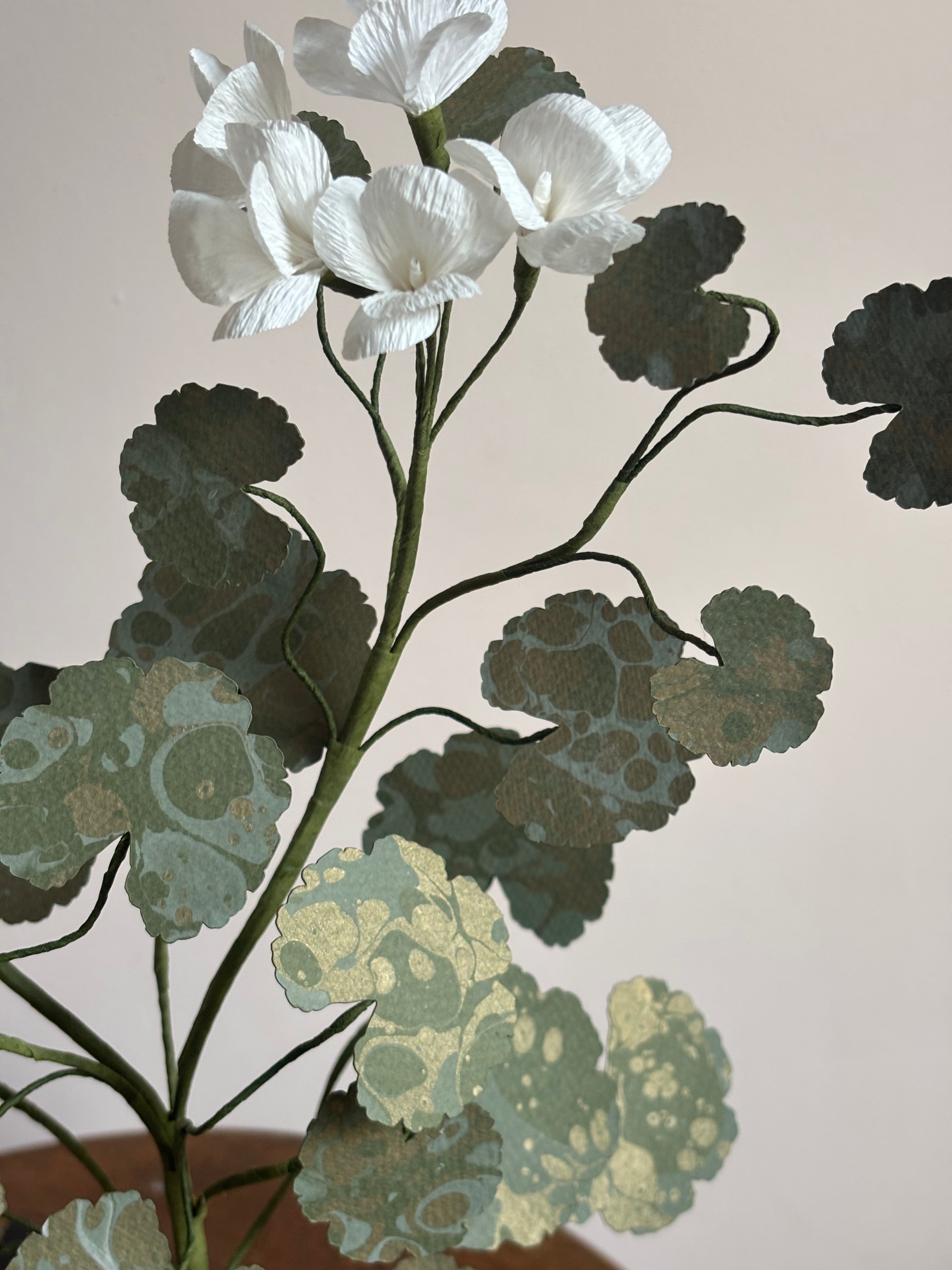 Paper Geranium