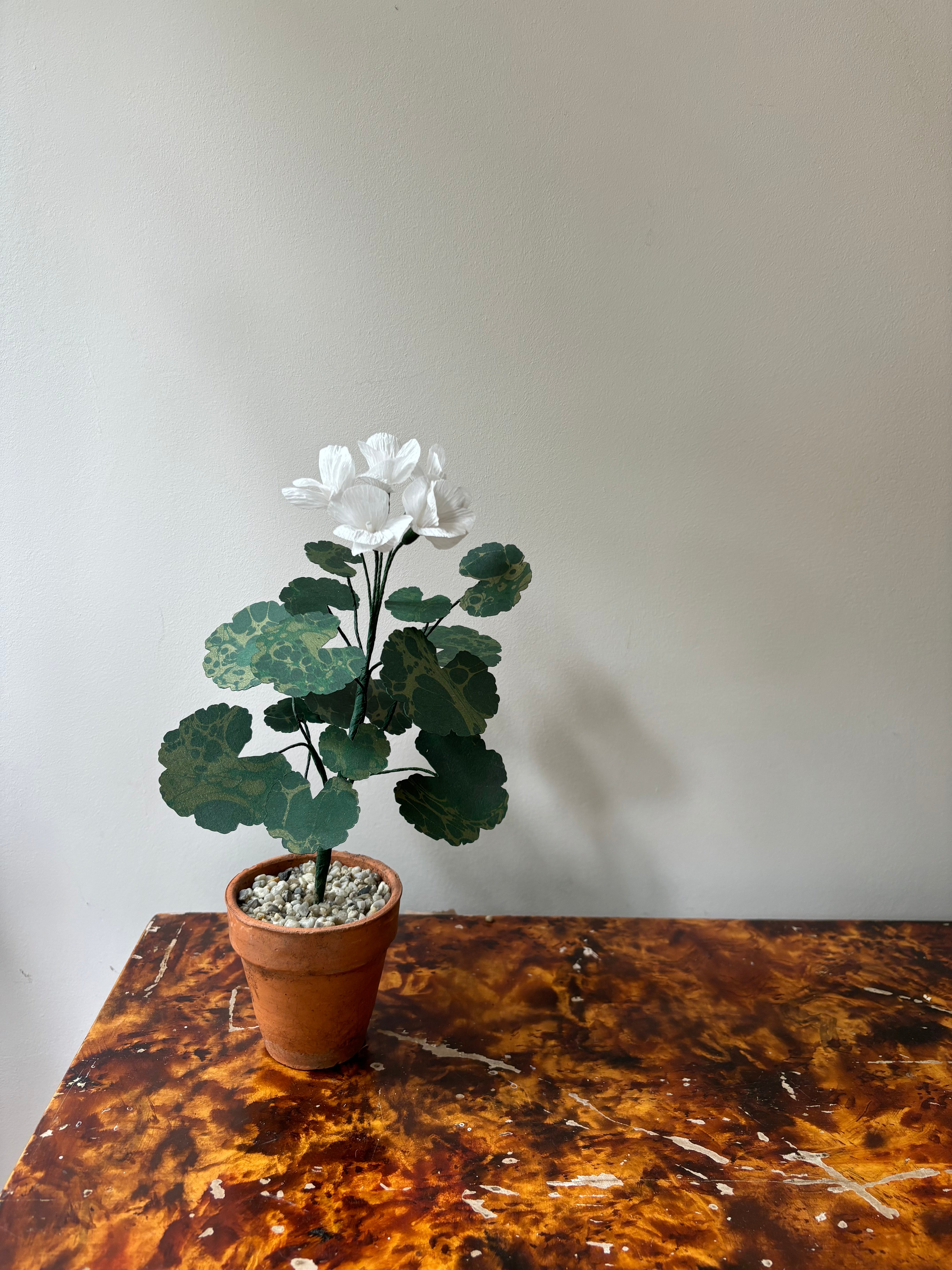 Paper Geranium