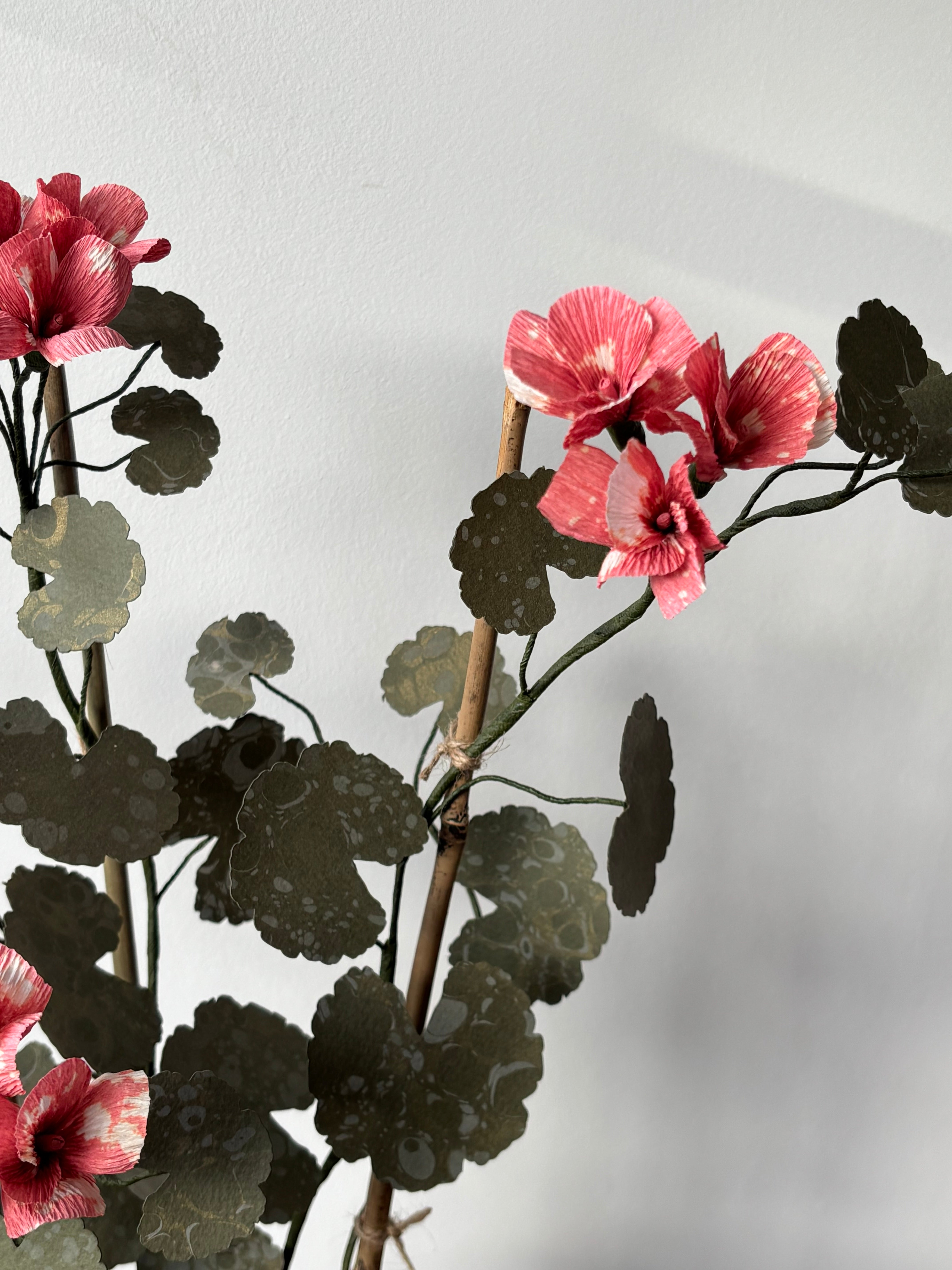 Paper Geranium