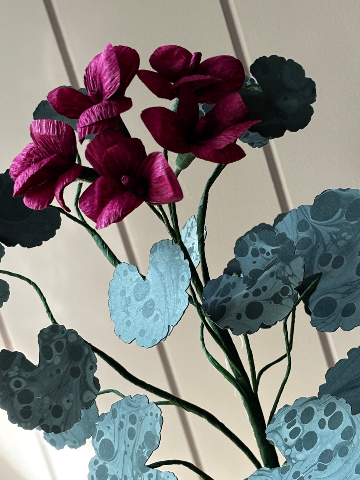Paper geranium