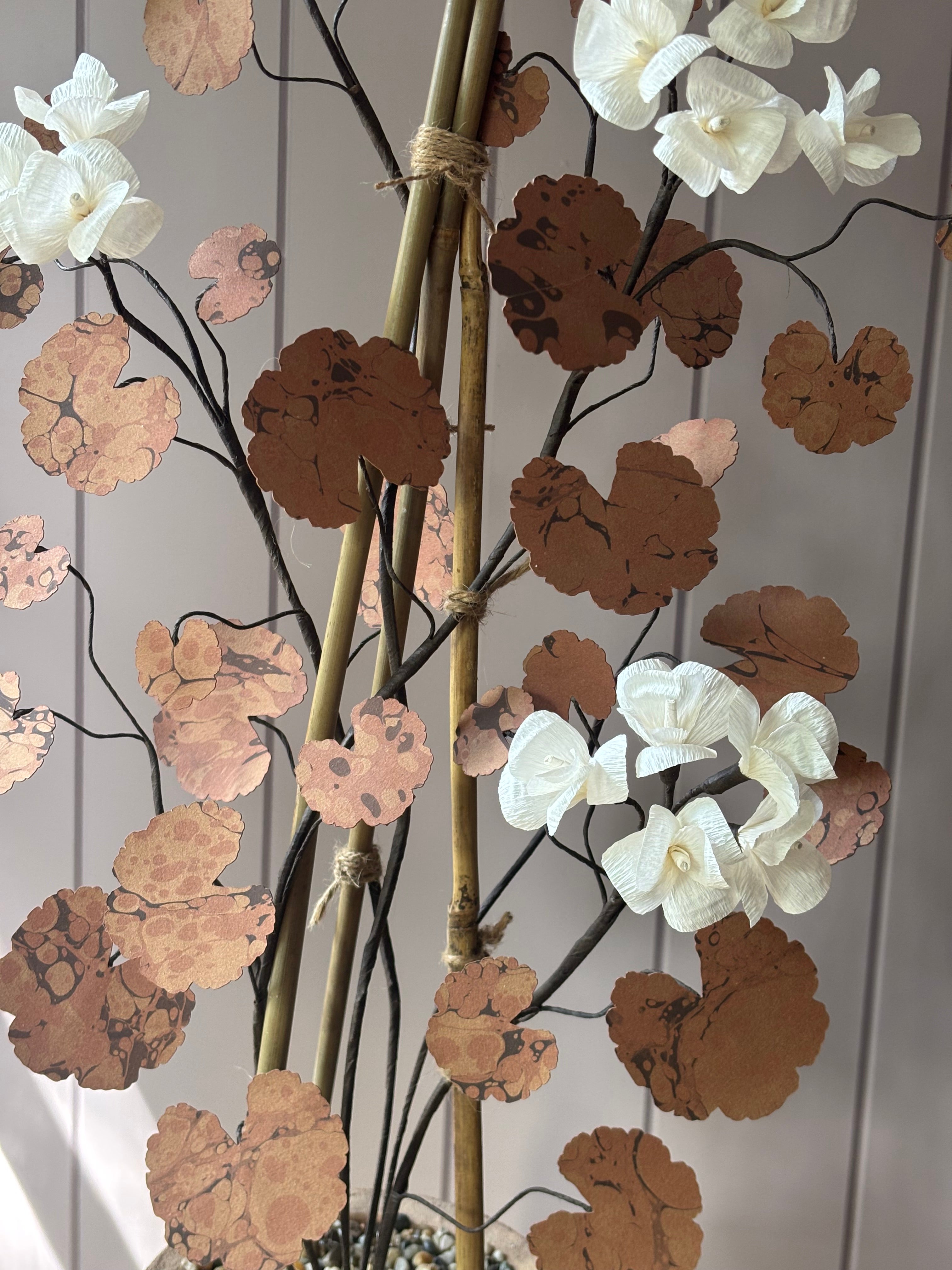 Paper geranium