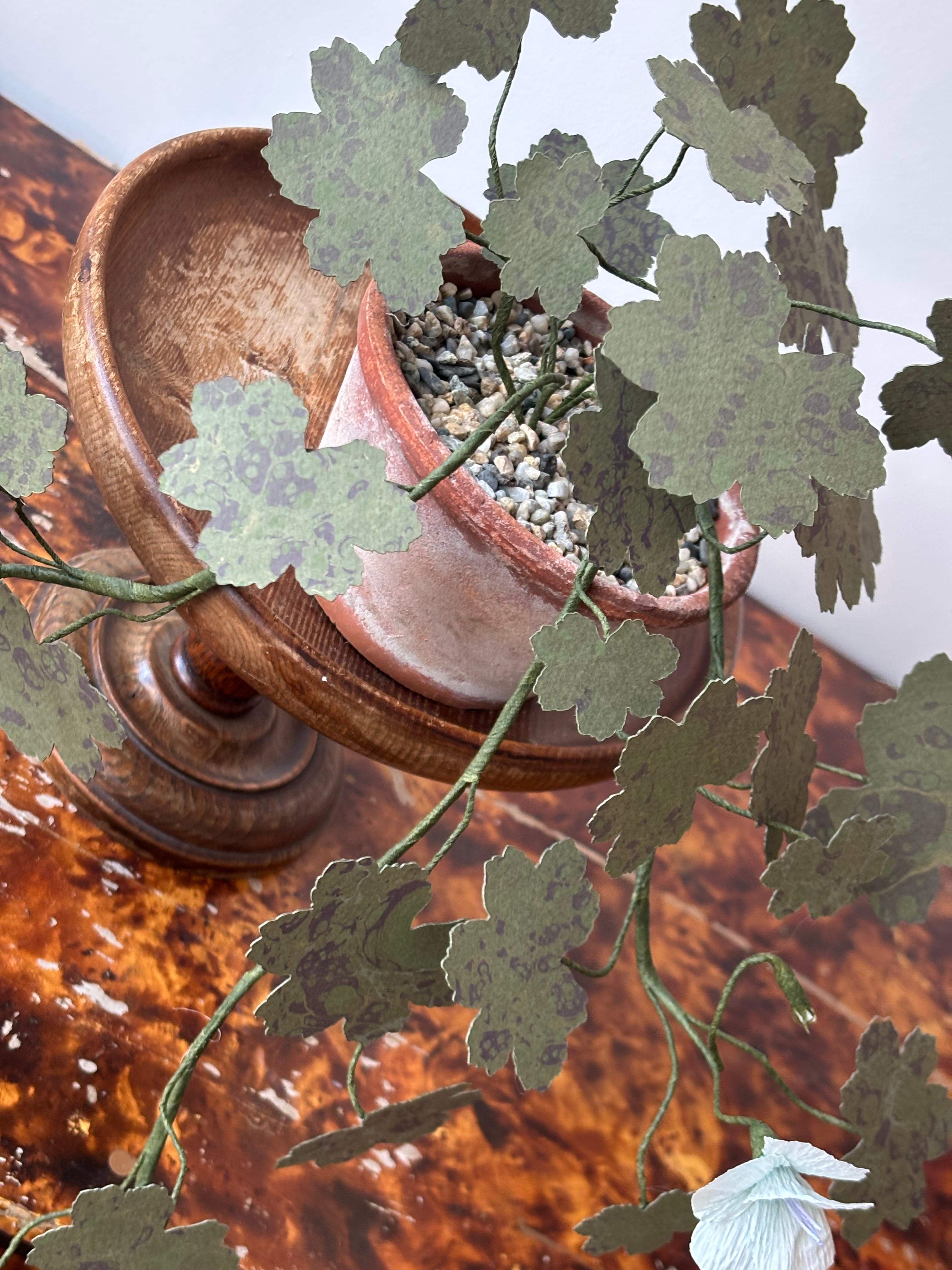 Paper hardy Geranium, trailing