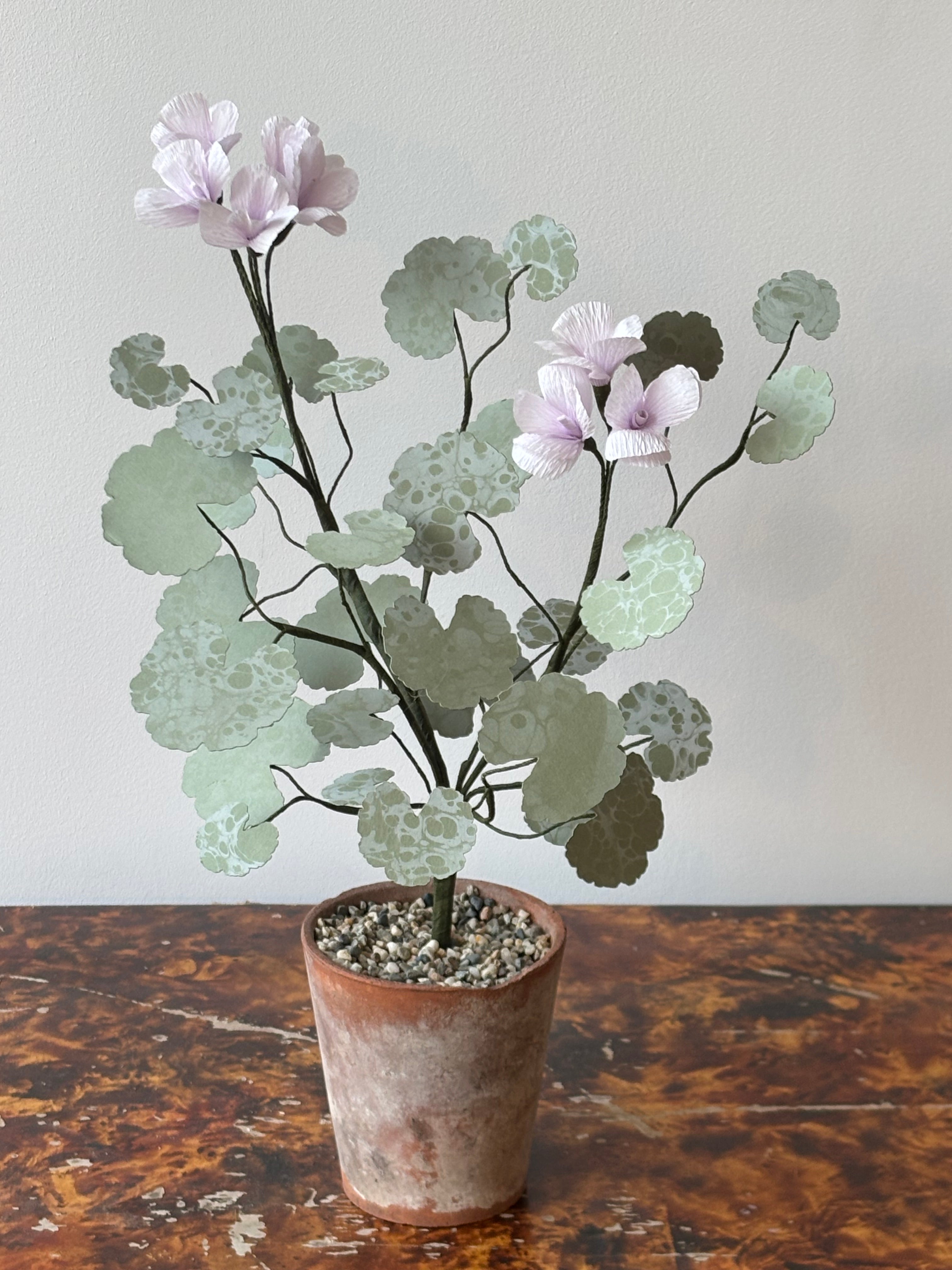 Paper Geranium