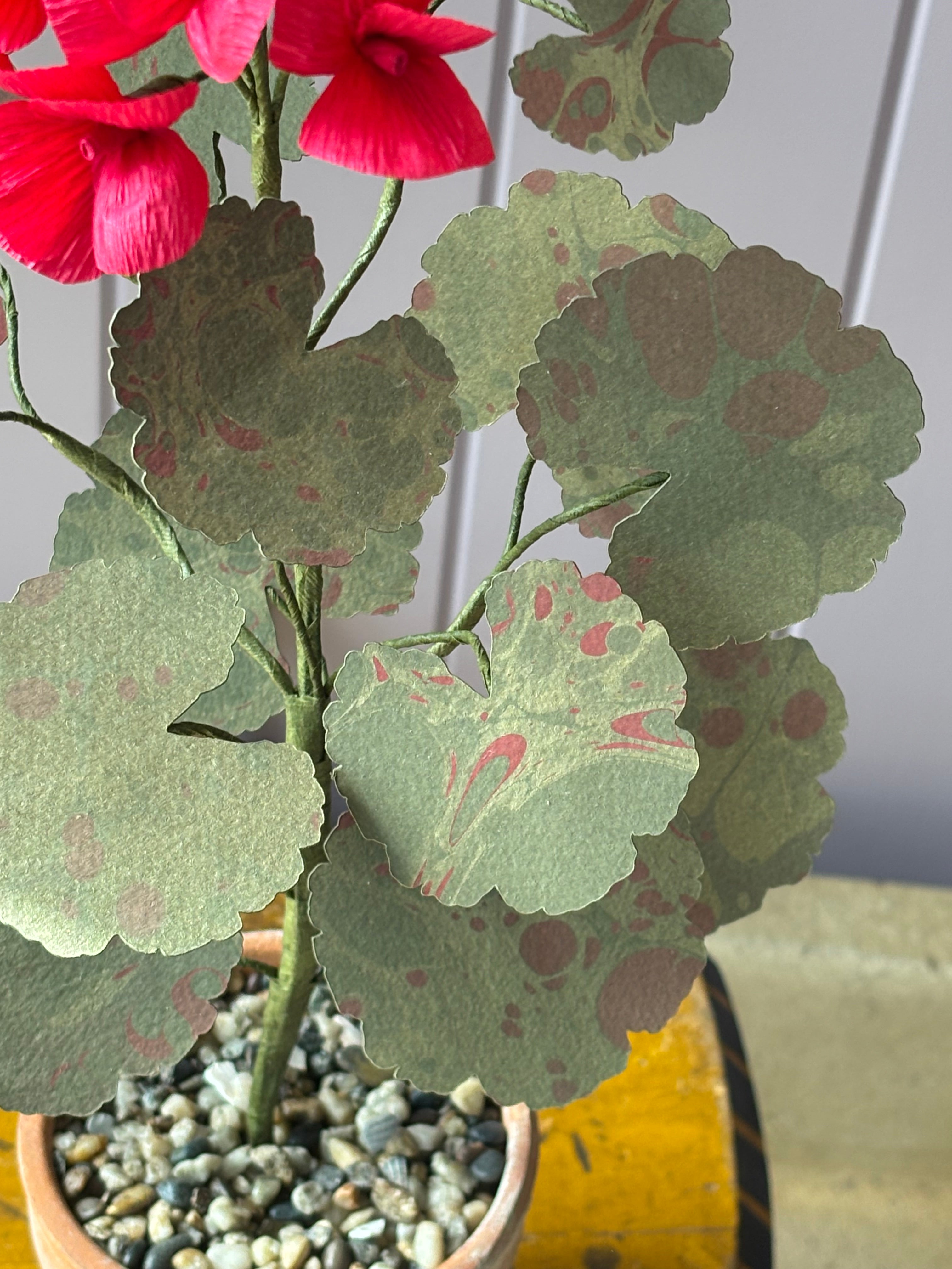 Paper Geranium