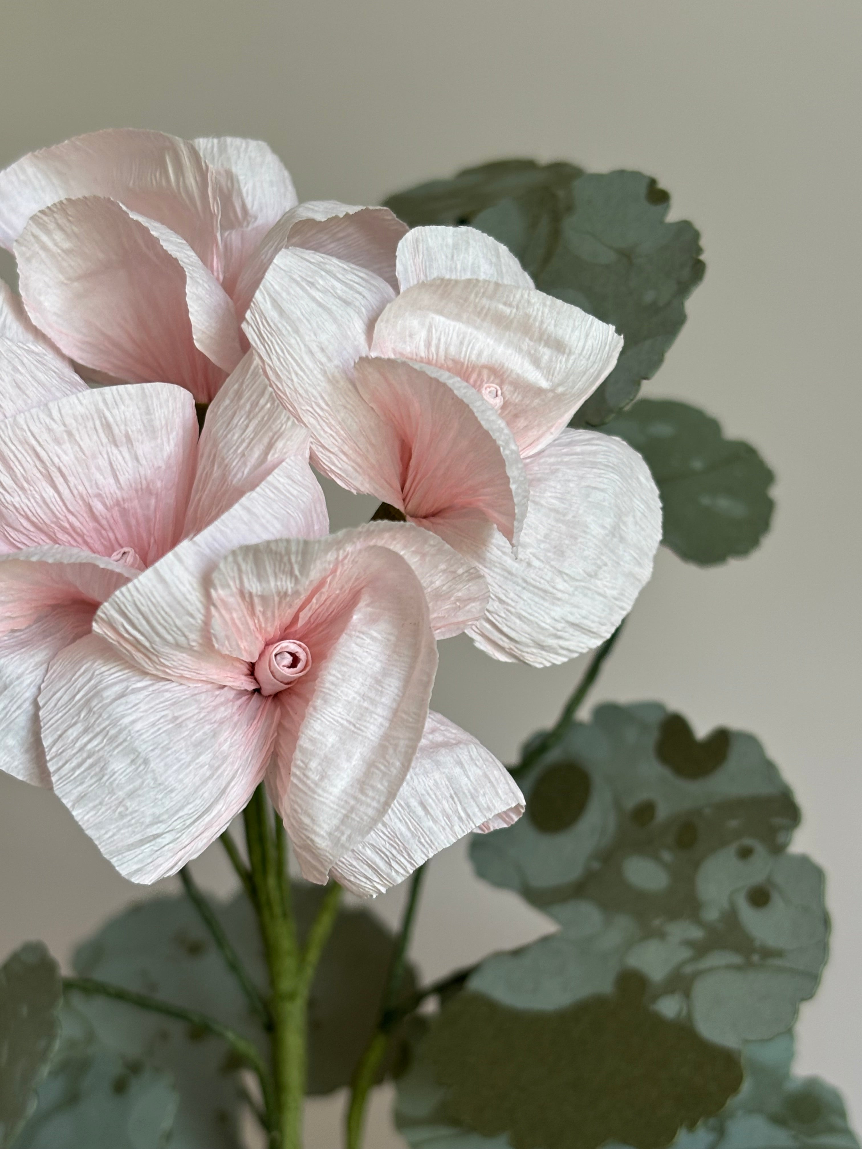 Paper Geranium