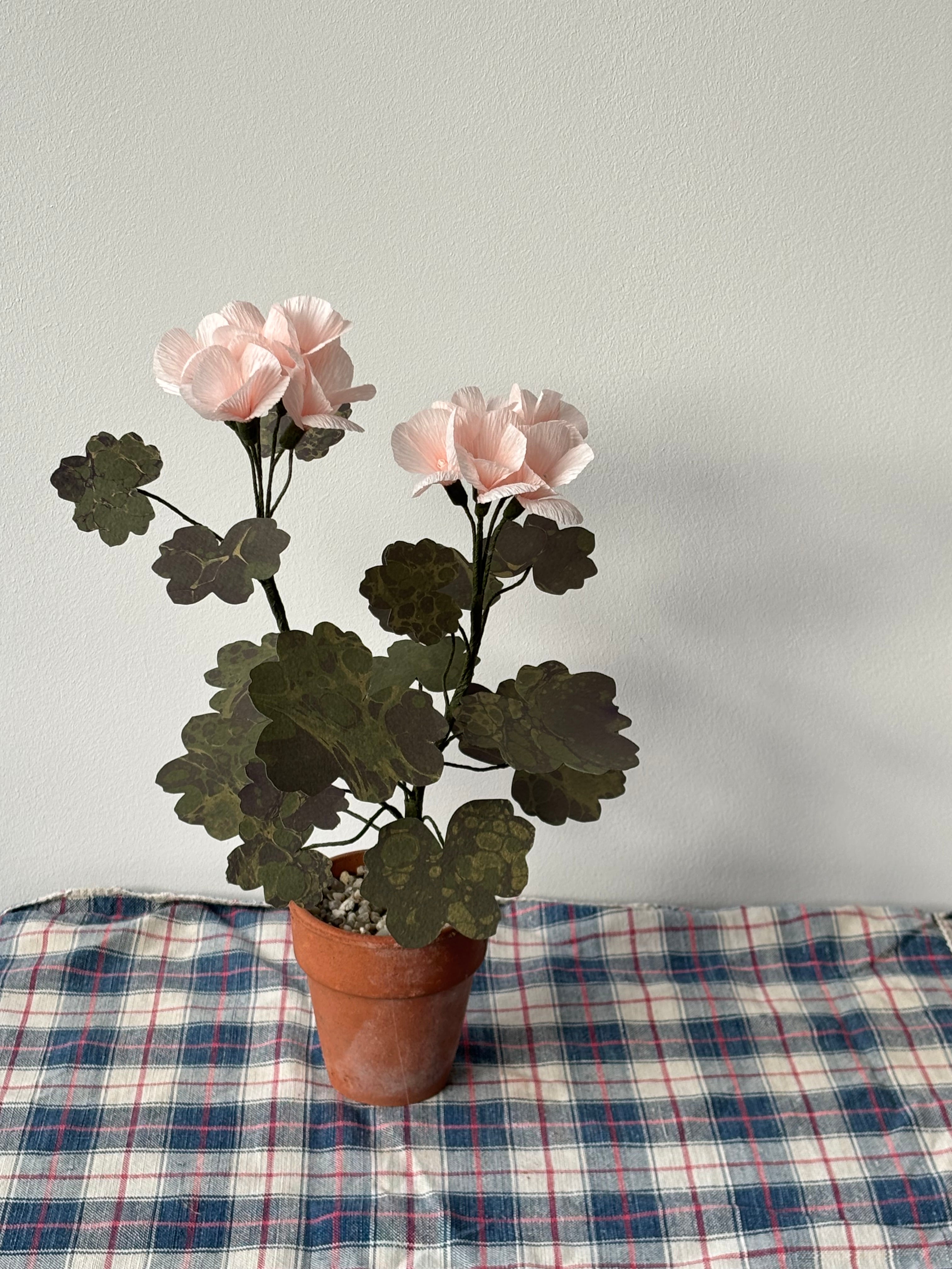 Paper Geranium