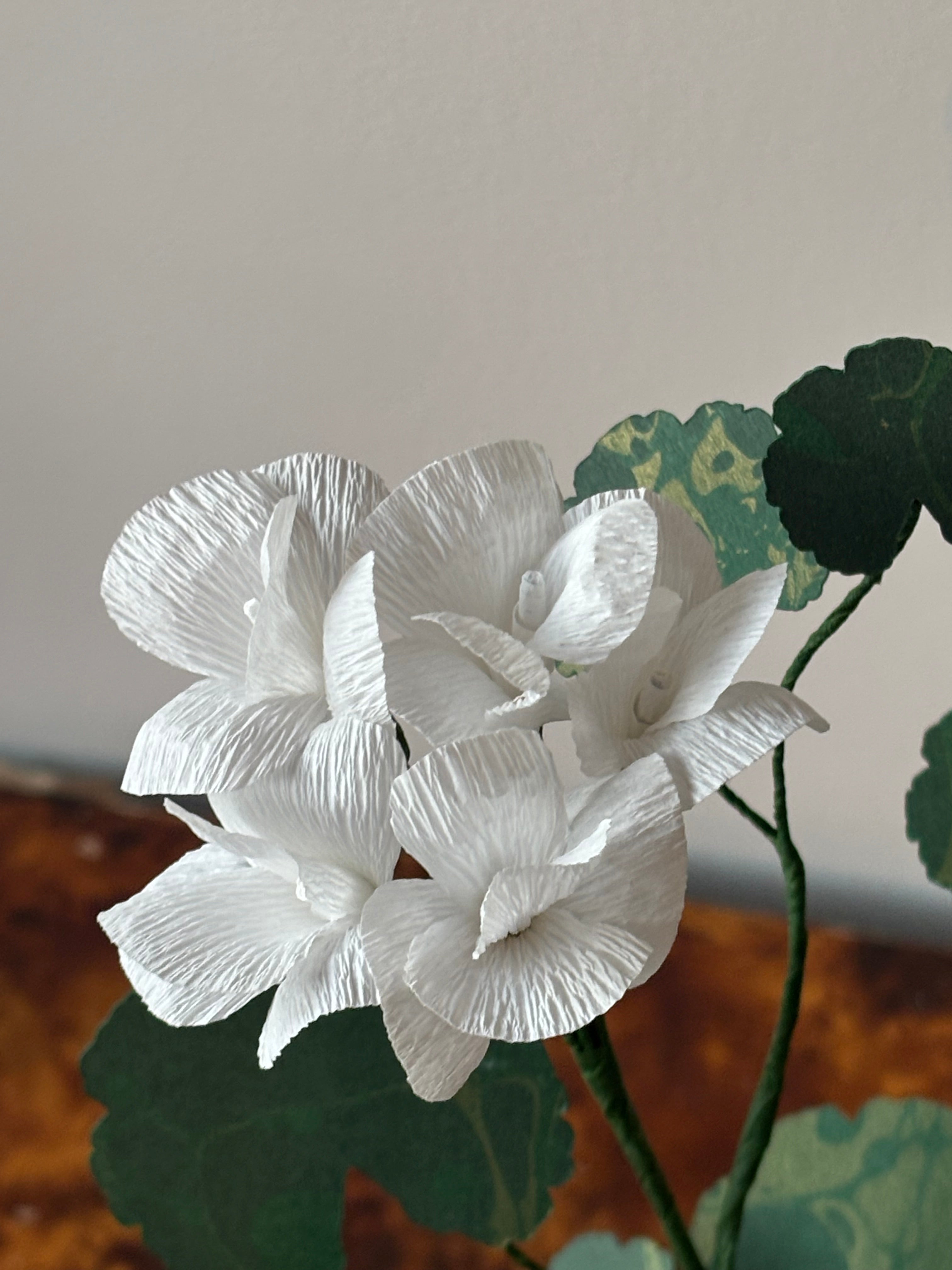 Paper Geranium