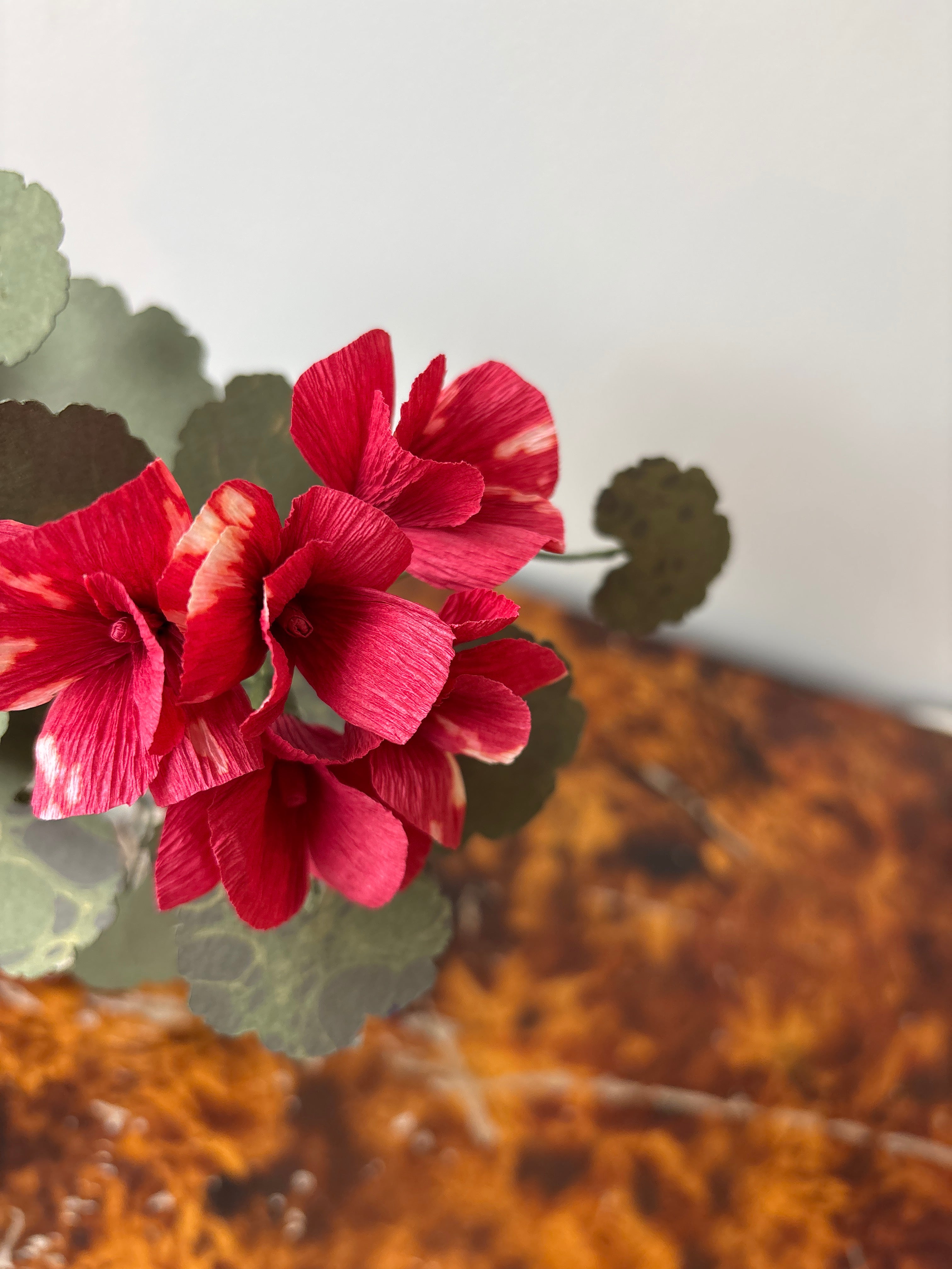 Paper Geranium