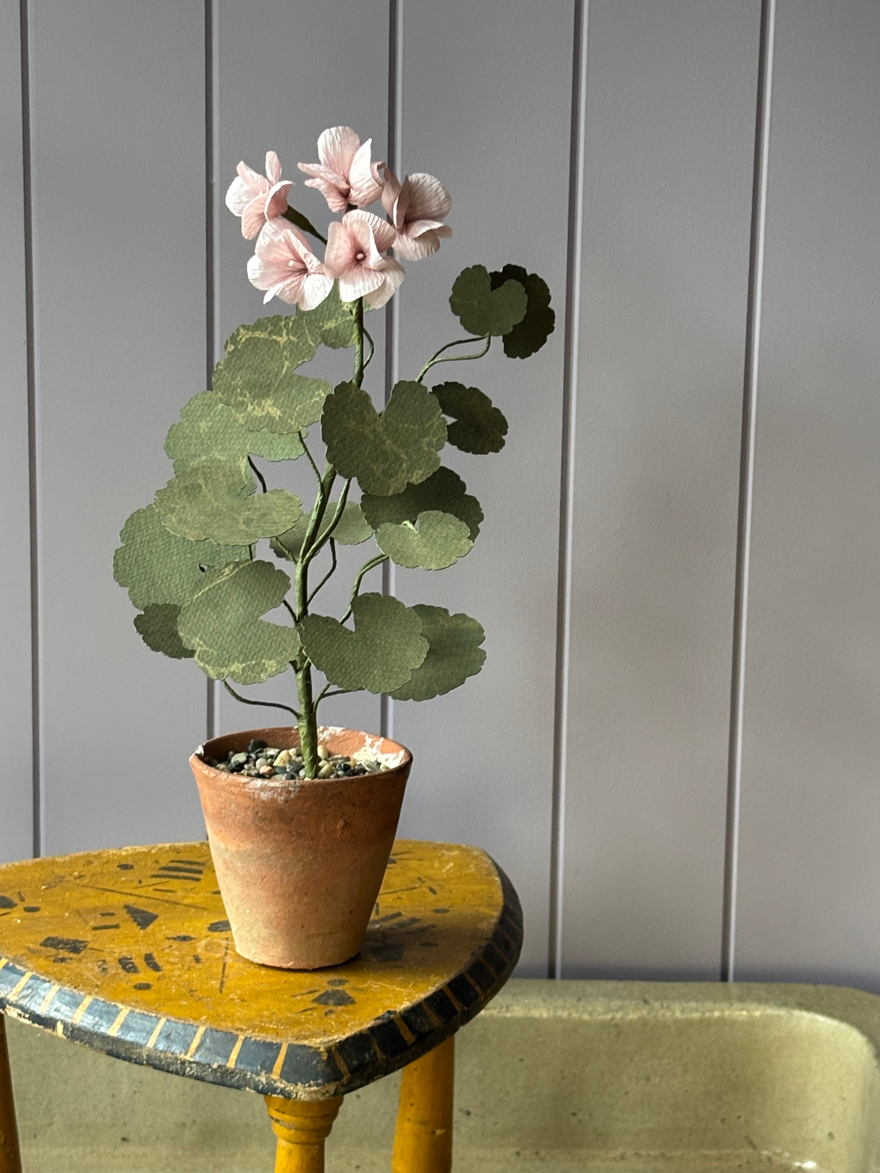 Paper Geranium