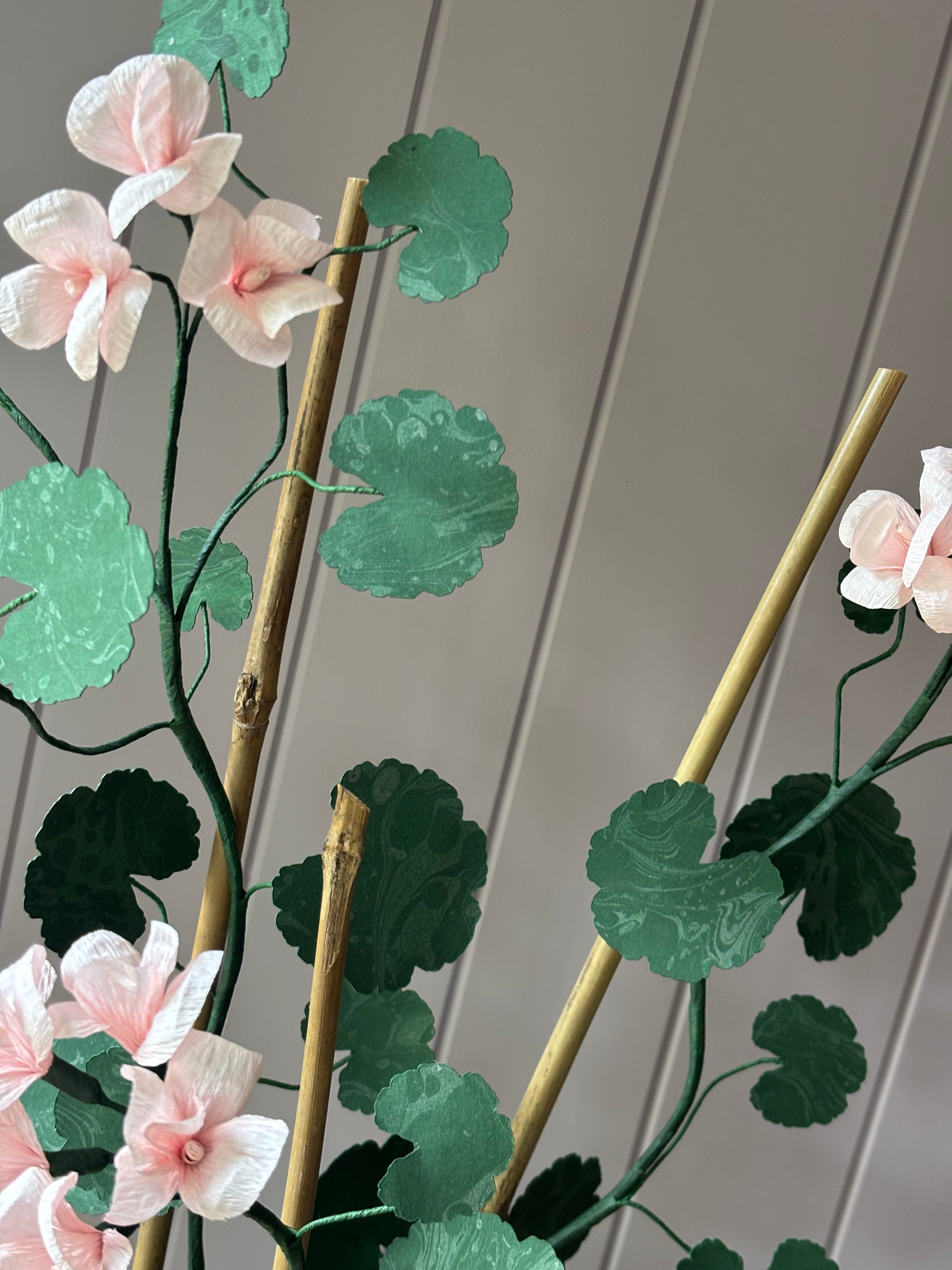 Paper geranium