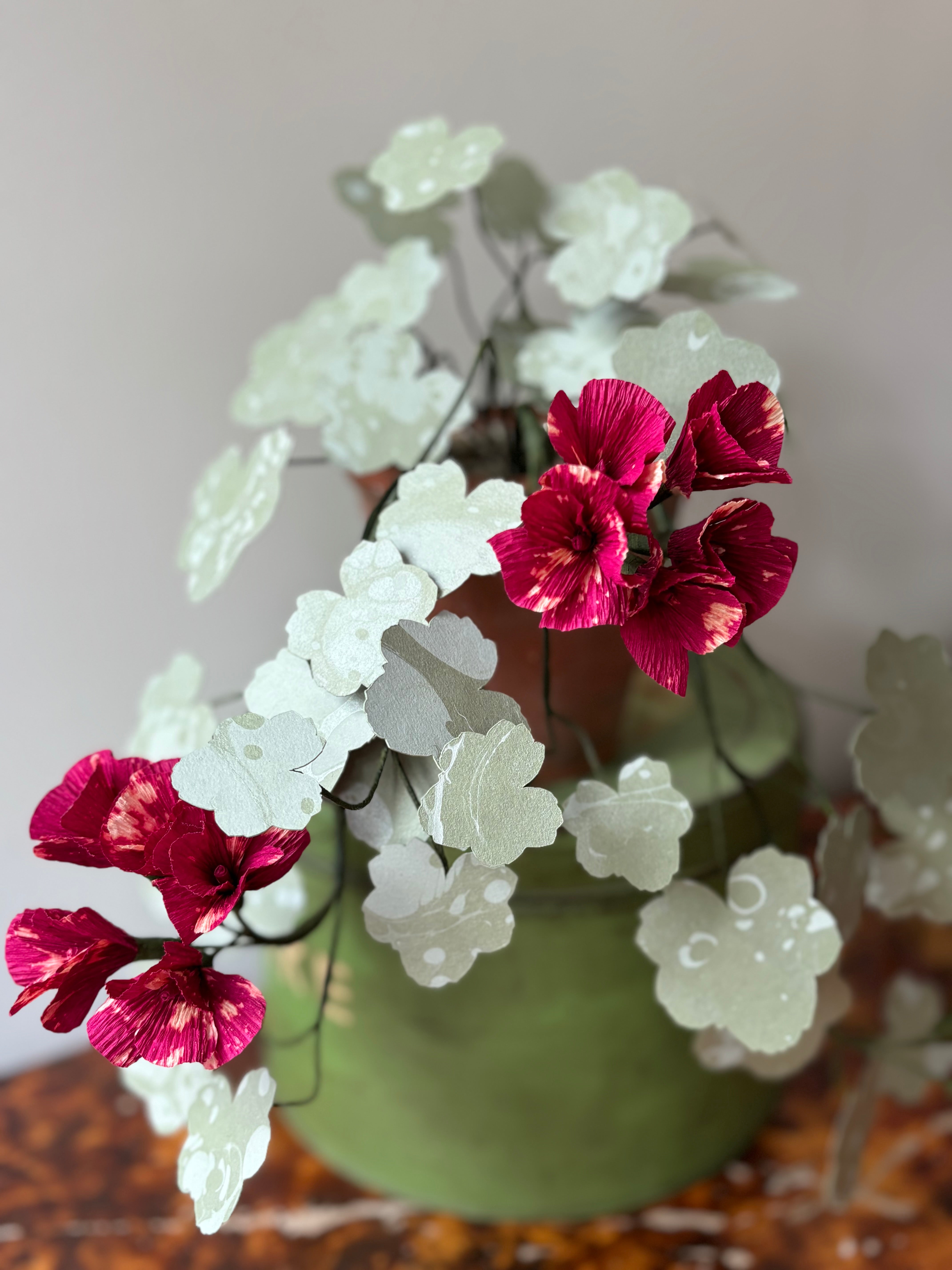 Paper trailing Geranium