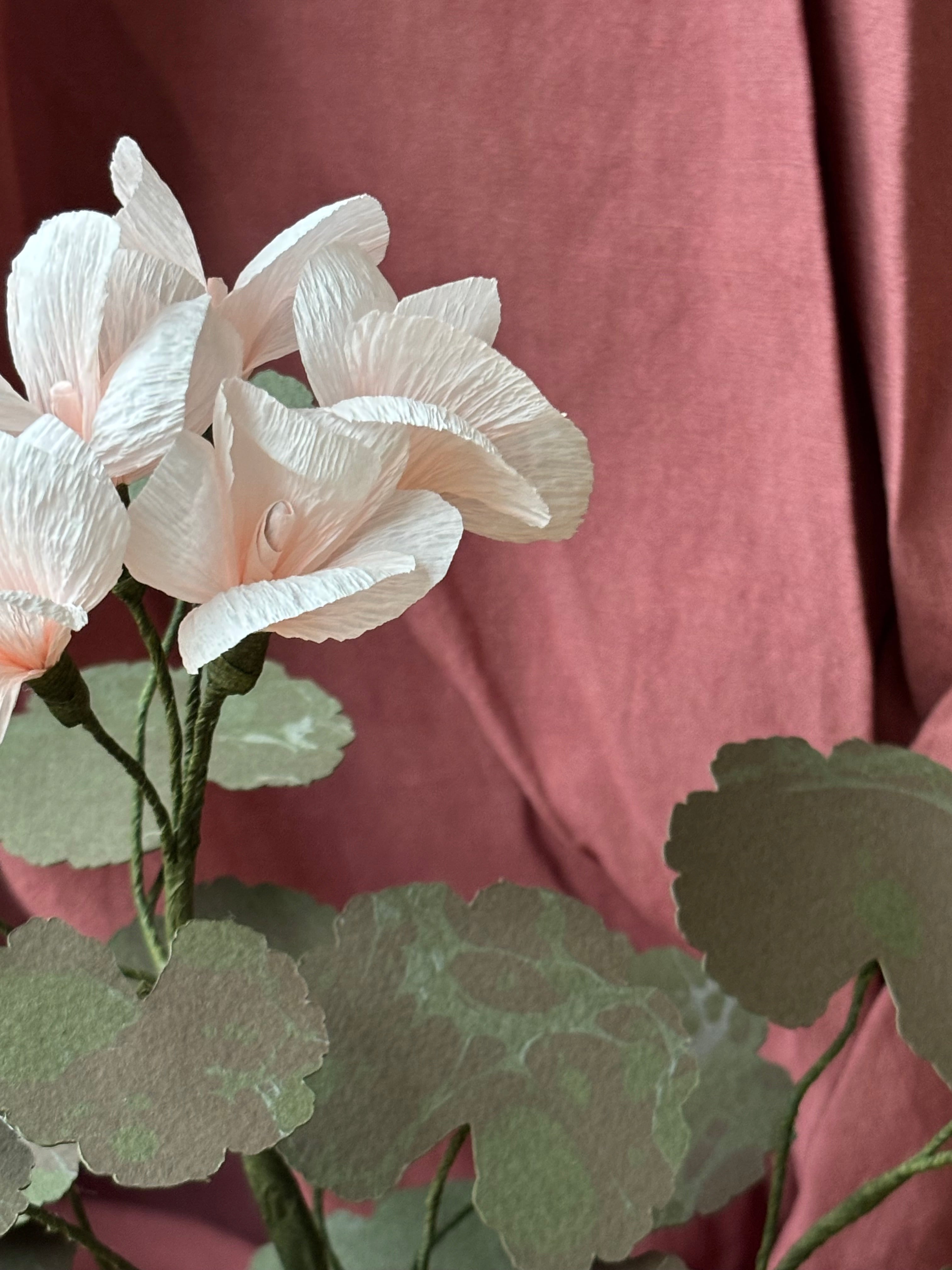 Paper Geranium