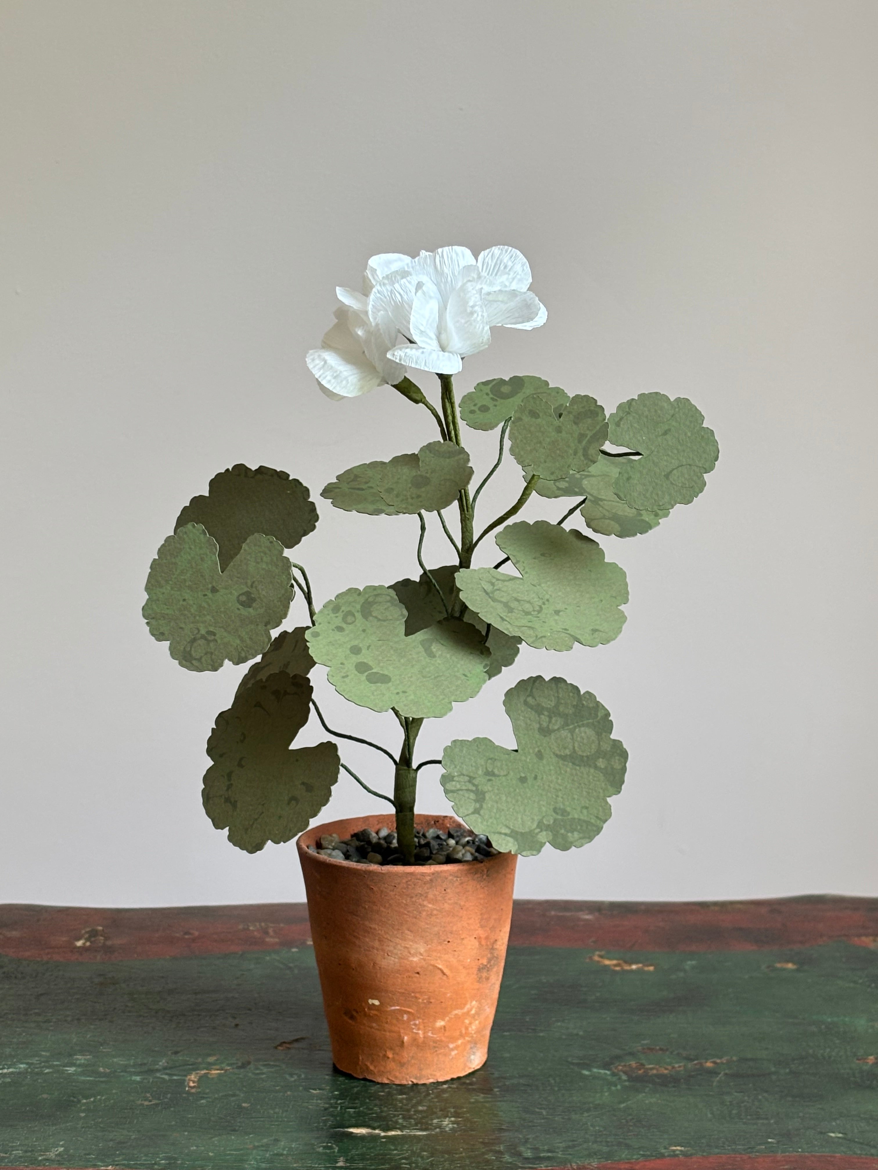 Paper Geraniums