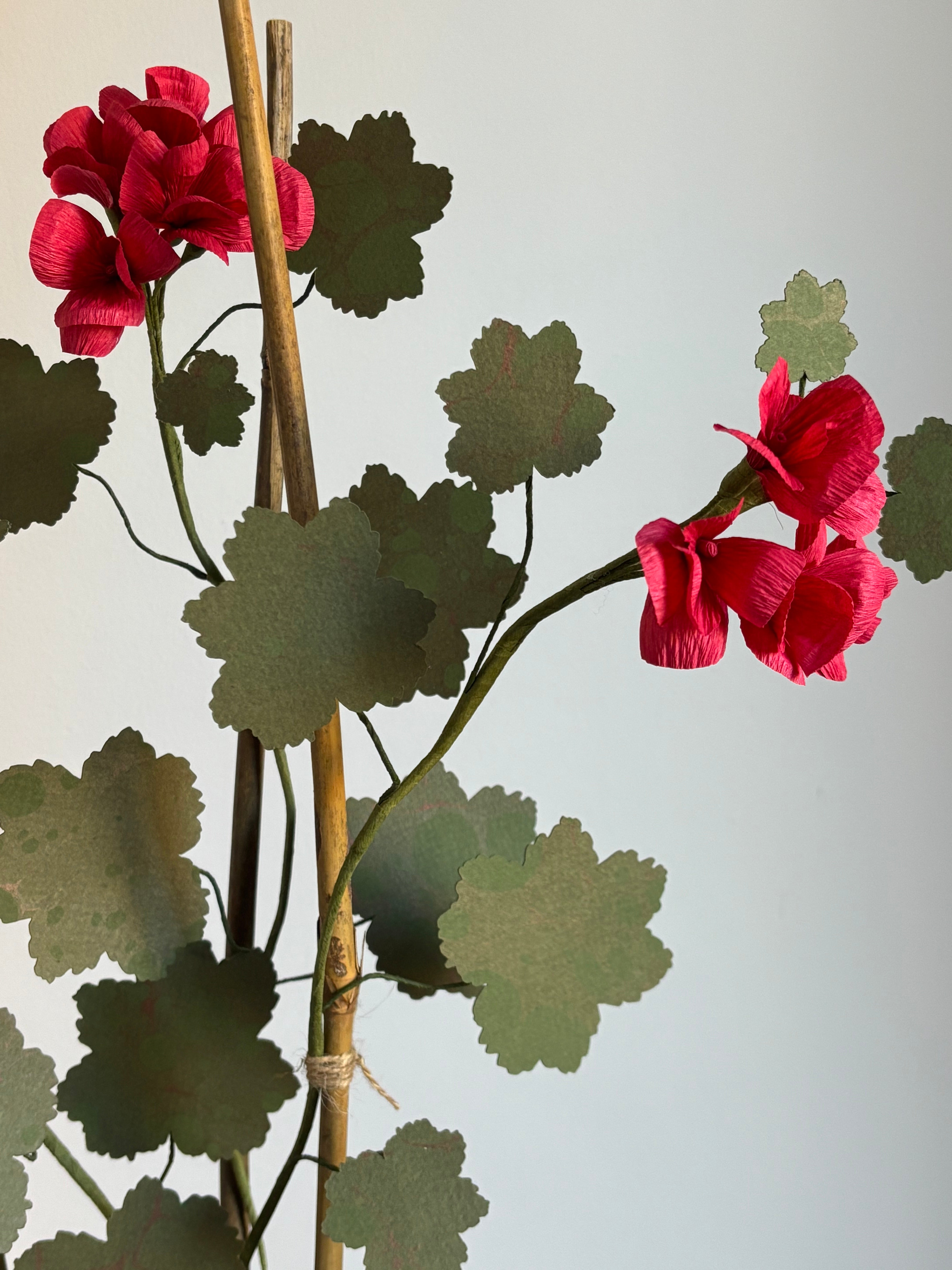 Paper Geranium