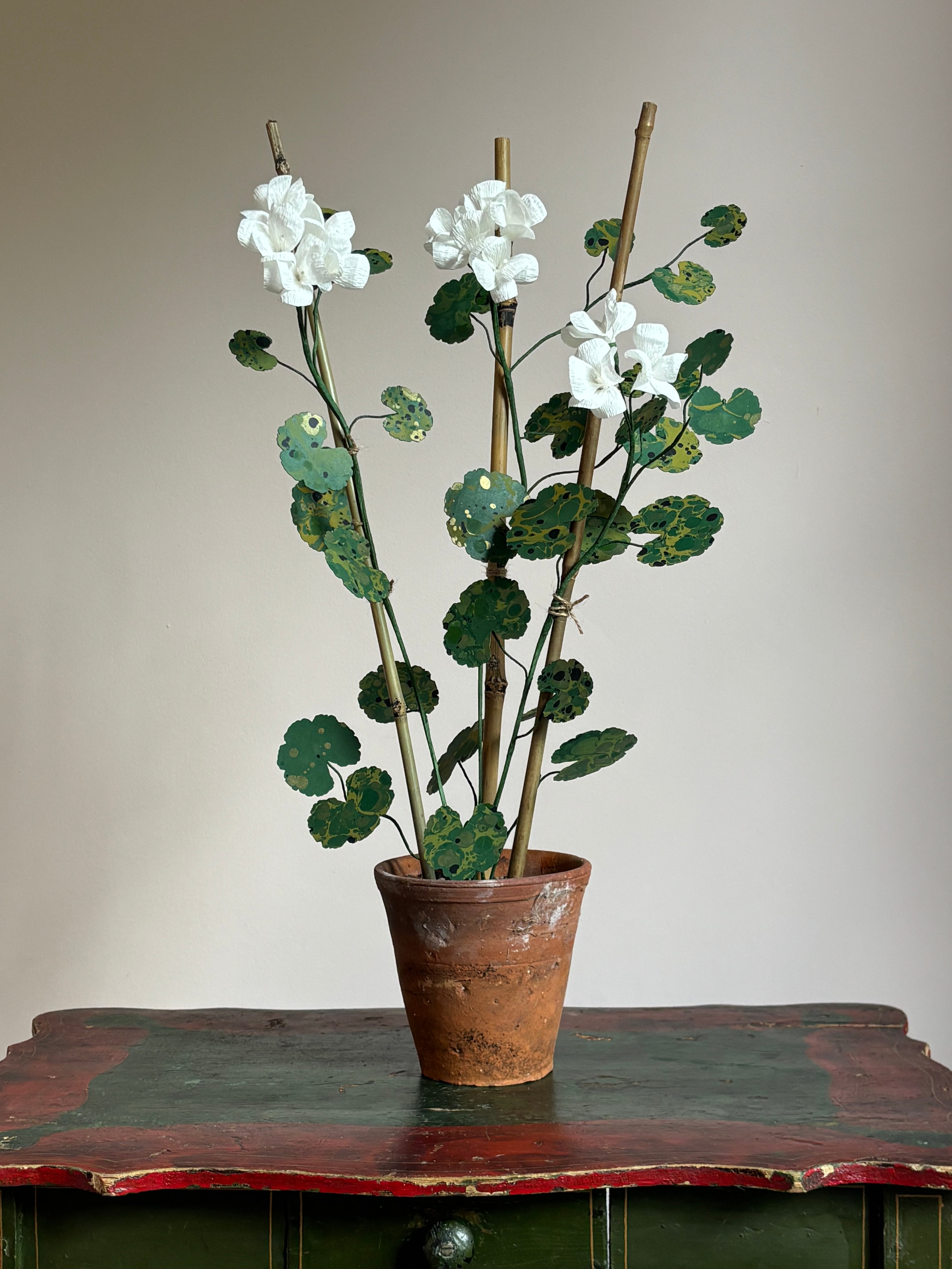 Paper Geranium