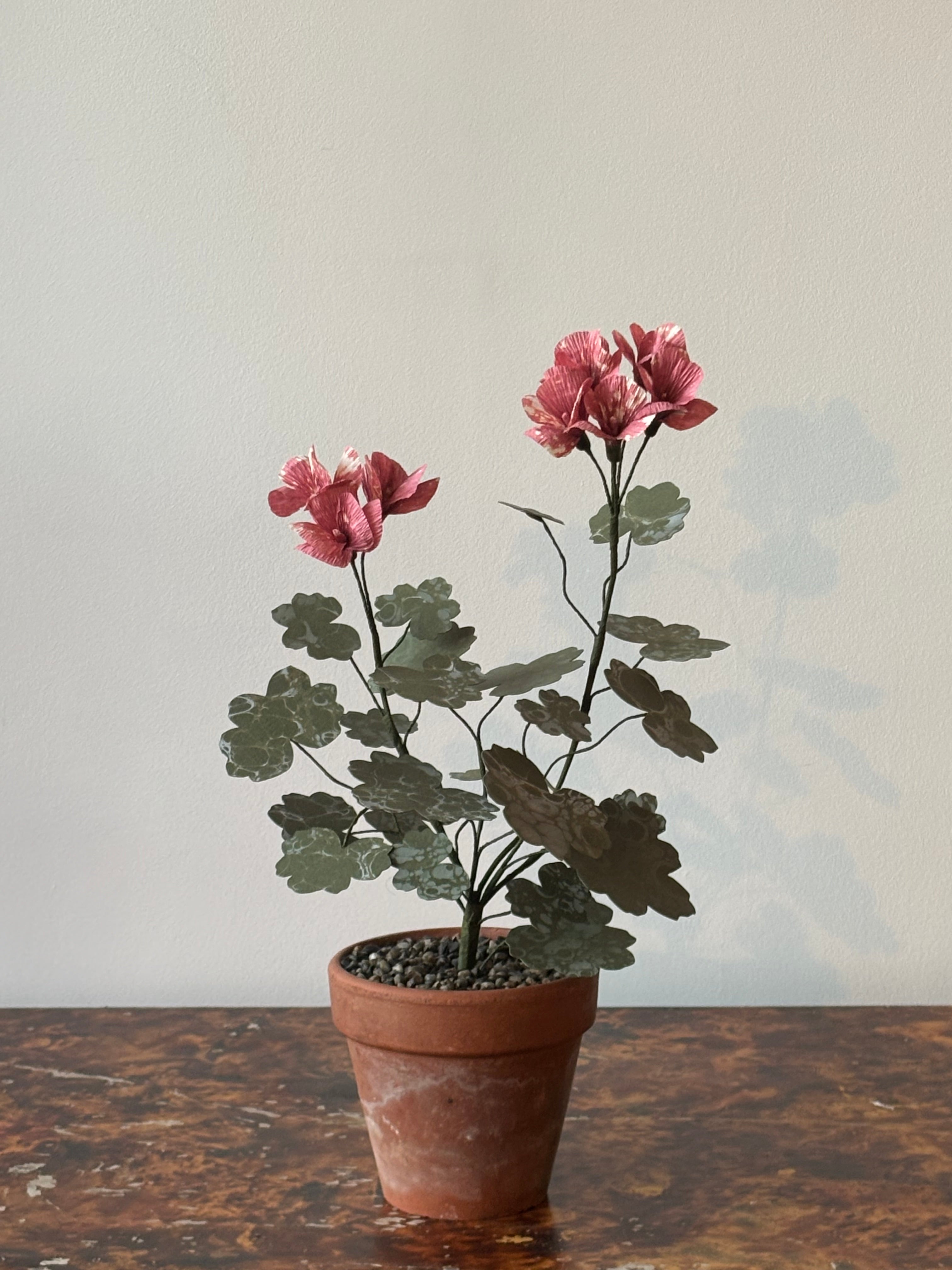 Paper Geranium