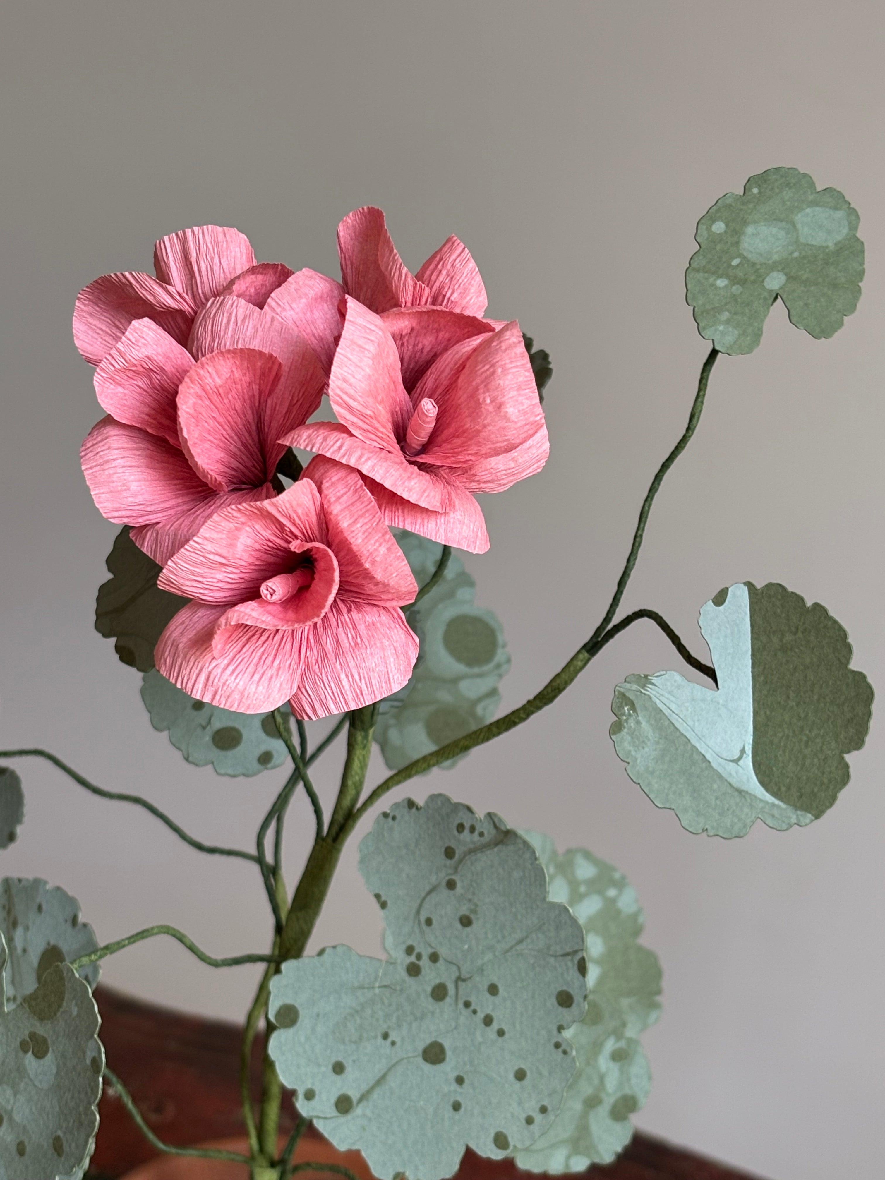 Paper Geraniums