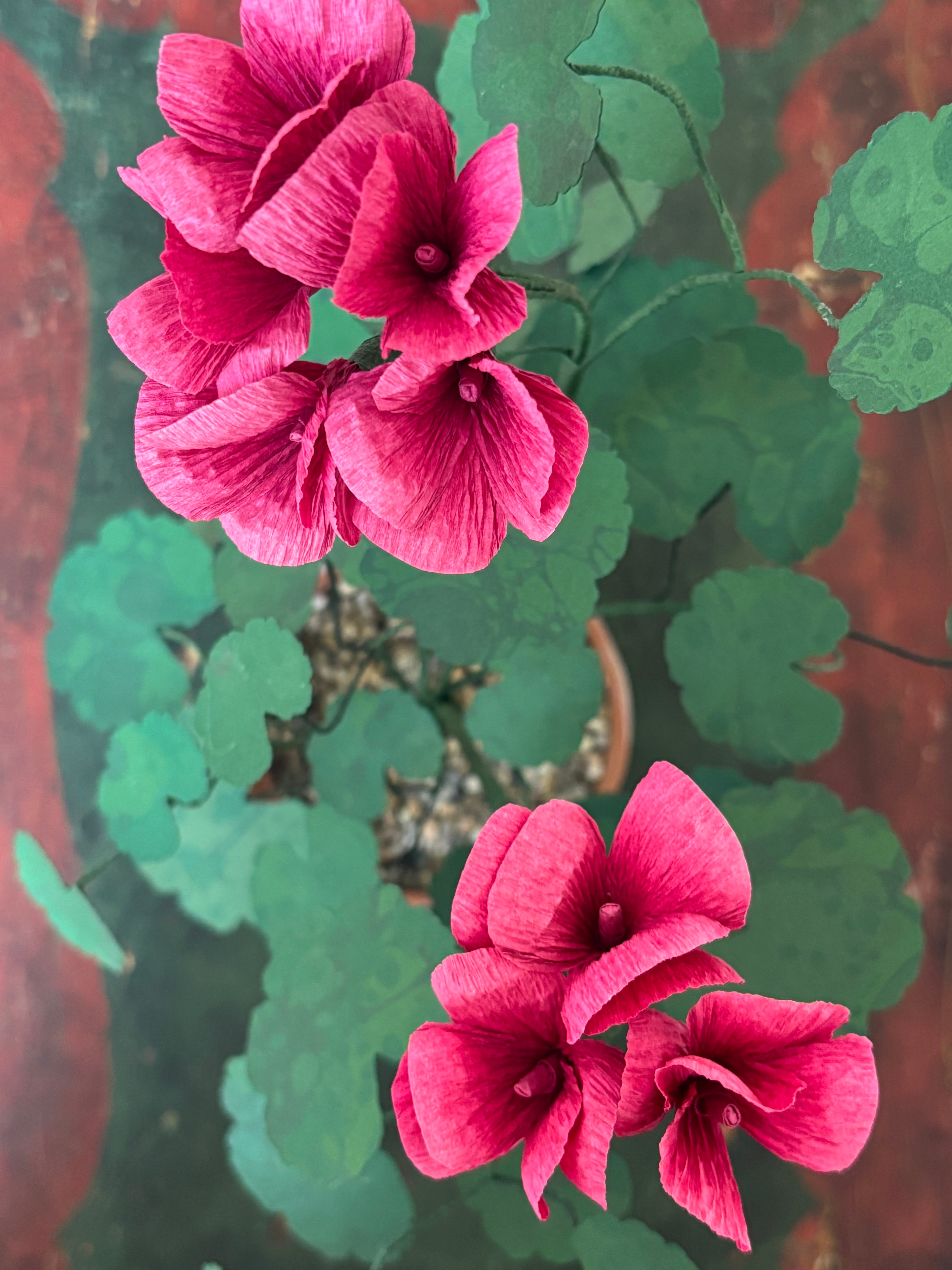 Paper Geranium