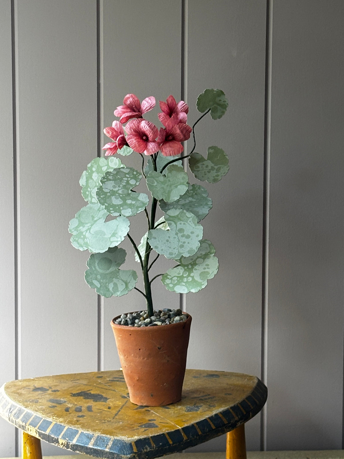 Paper geranium