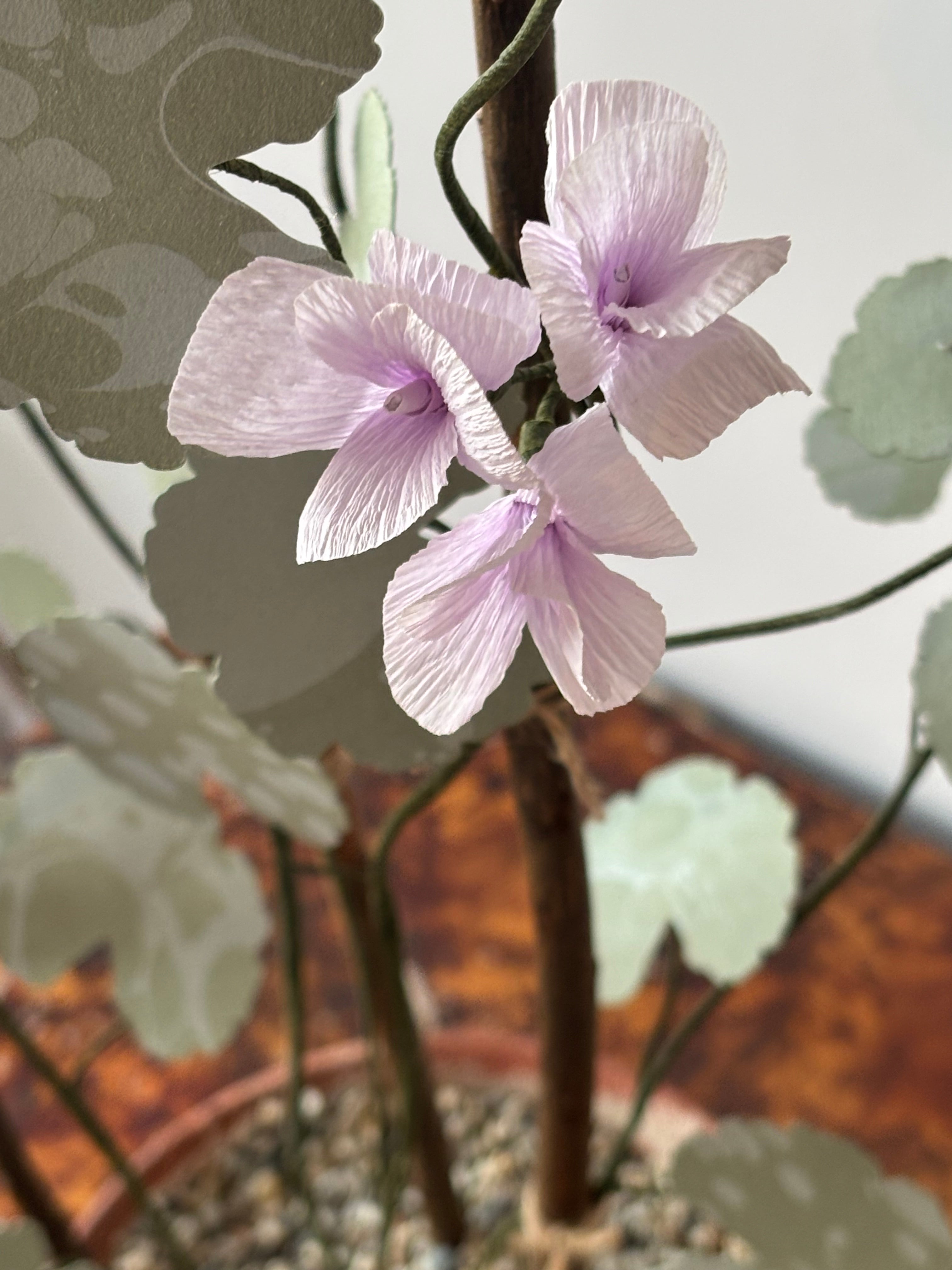 Paper Geranium