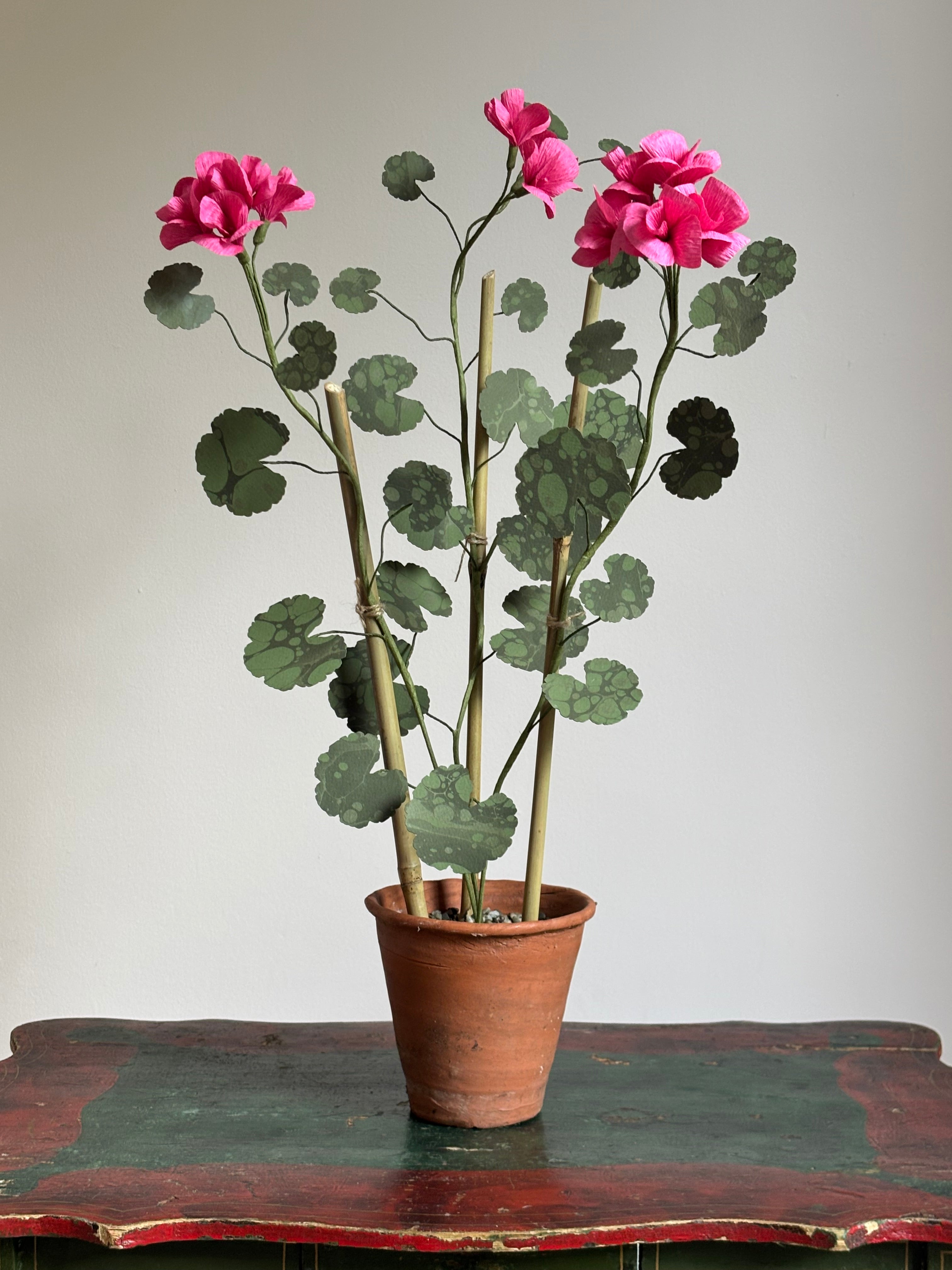 Paper Geranium
