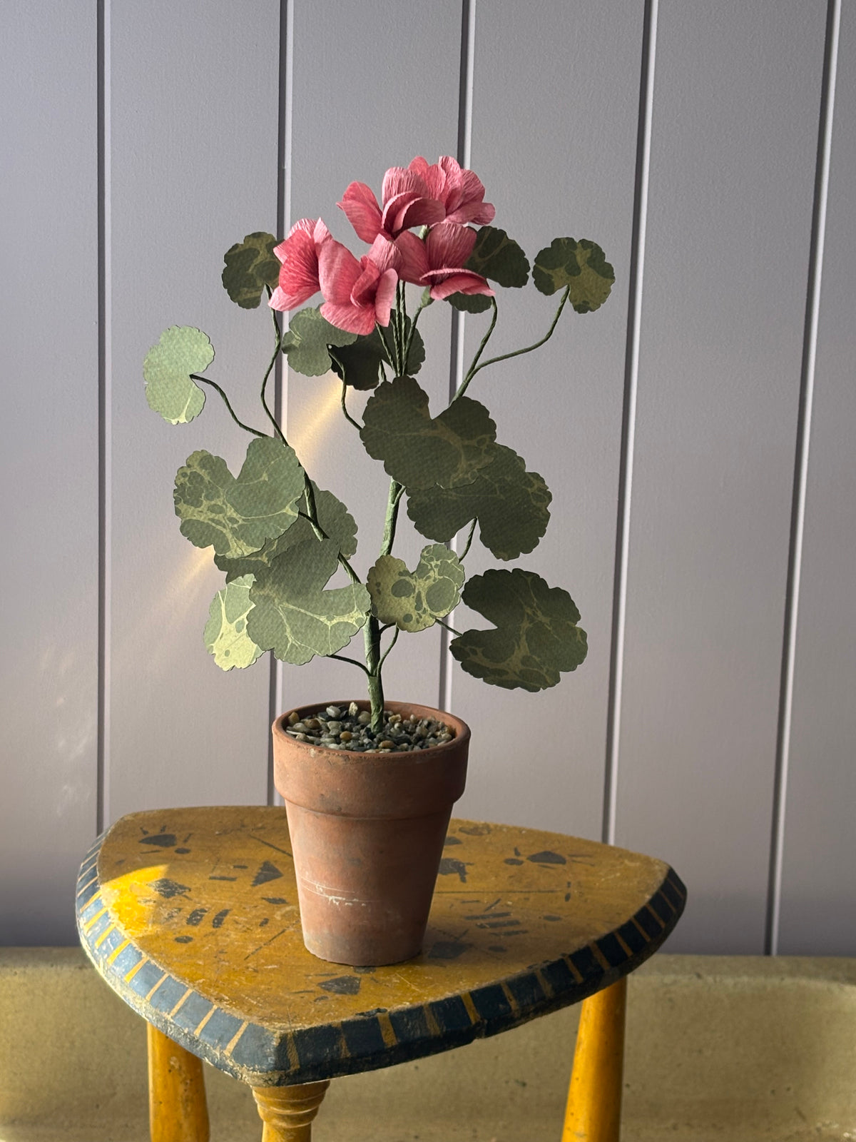 Paper geranium