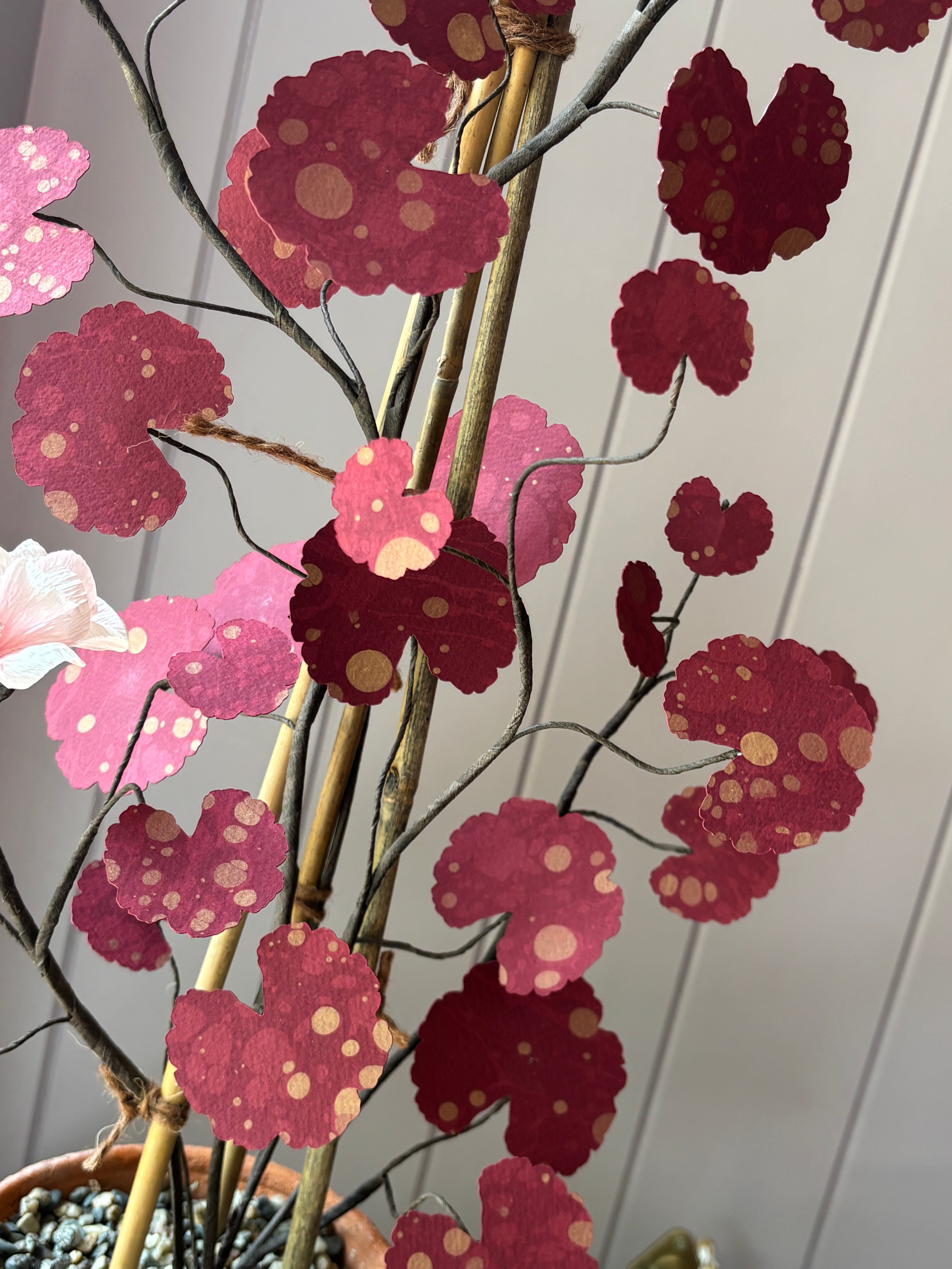 Paper geranium