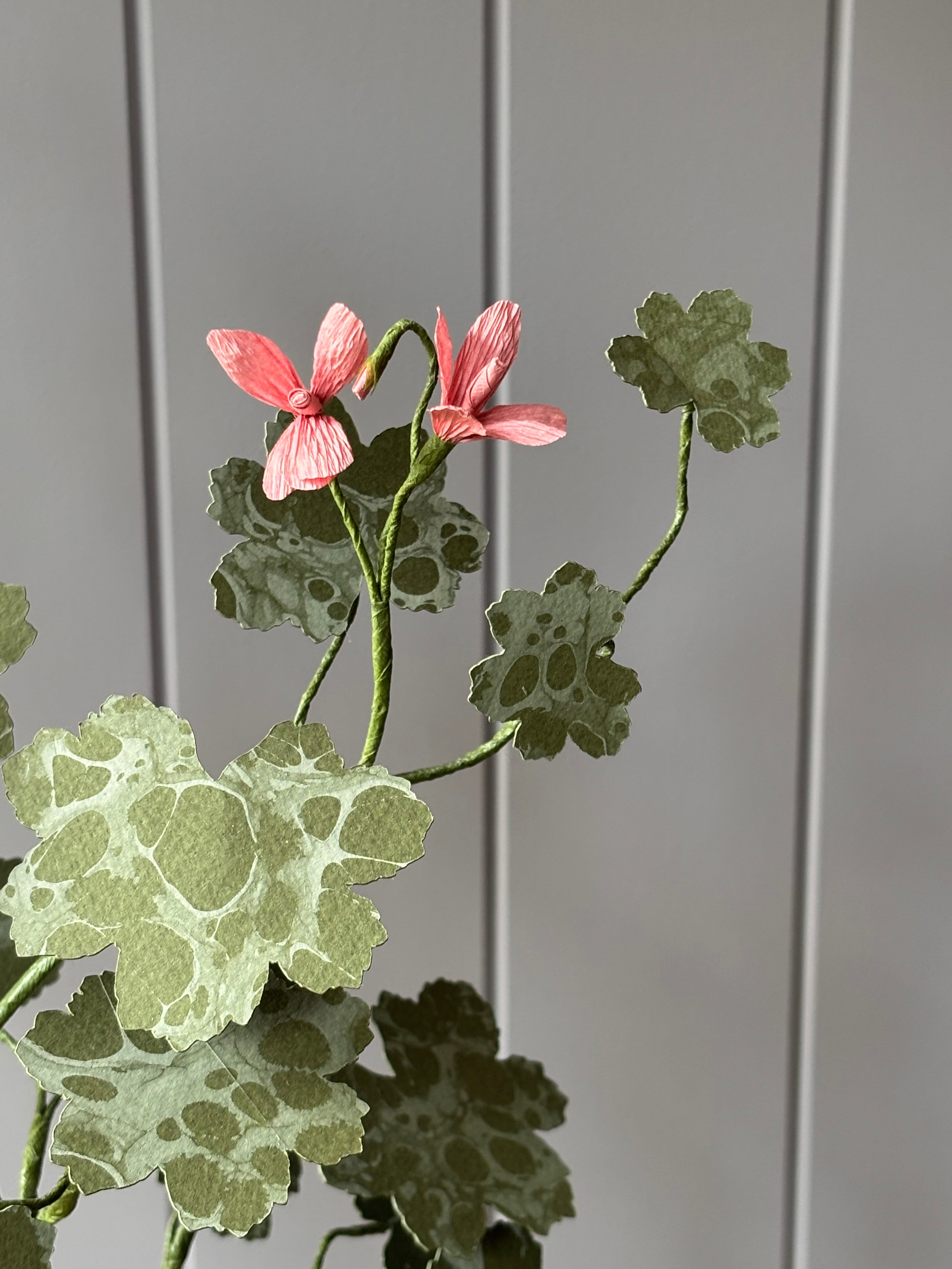 Paper Geranium