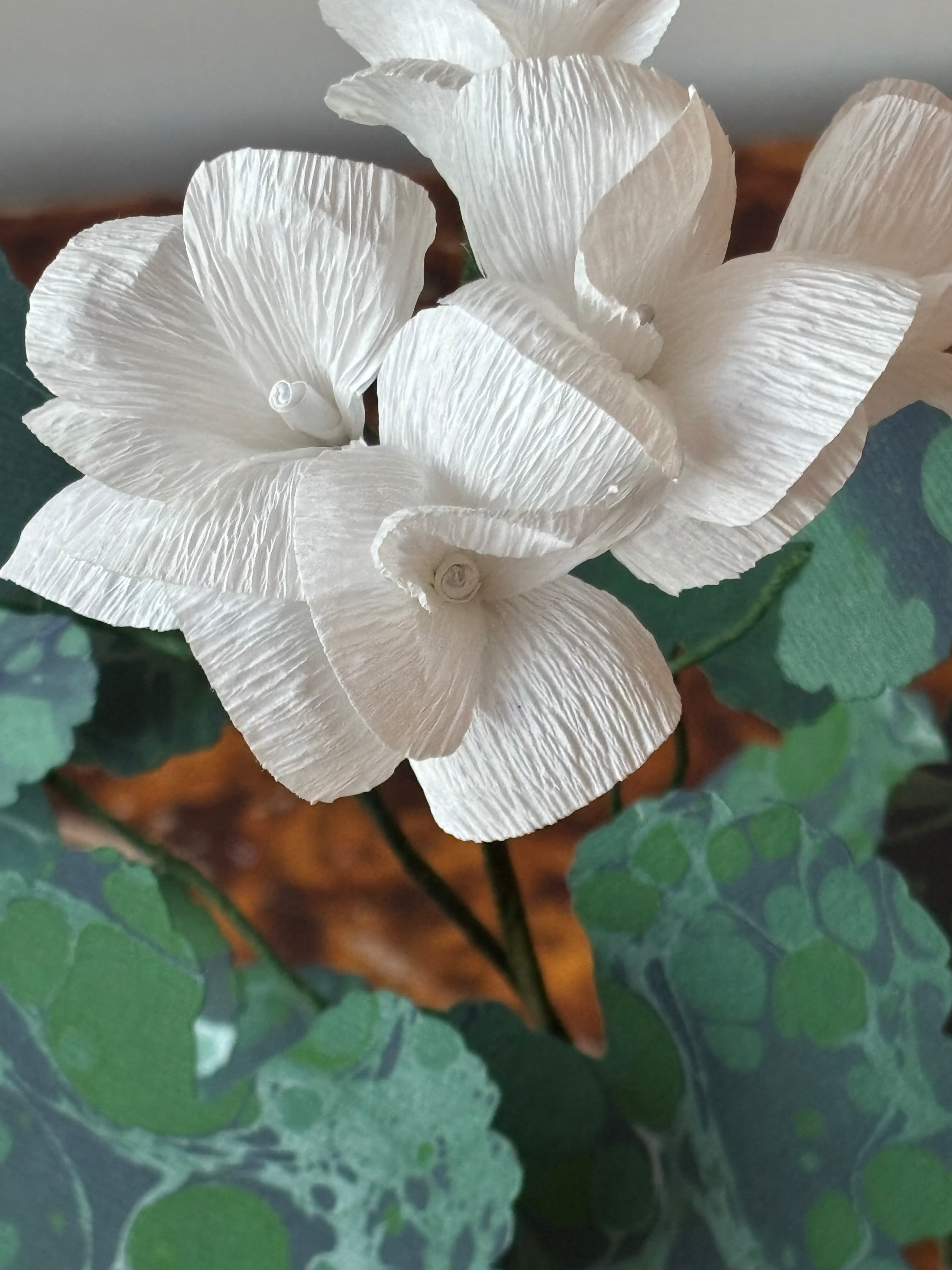 Paper Geranium