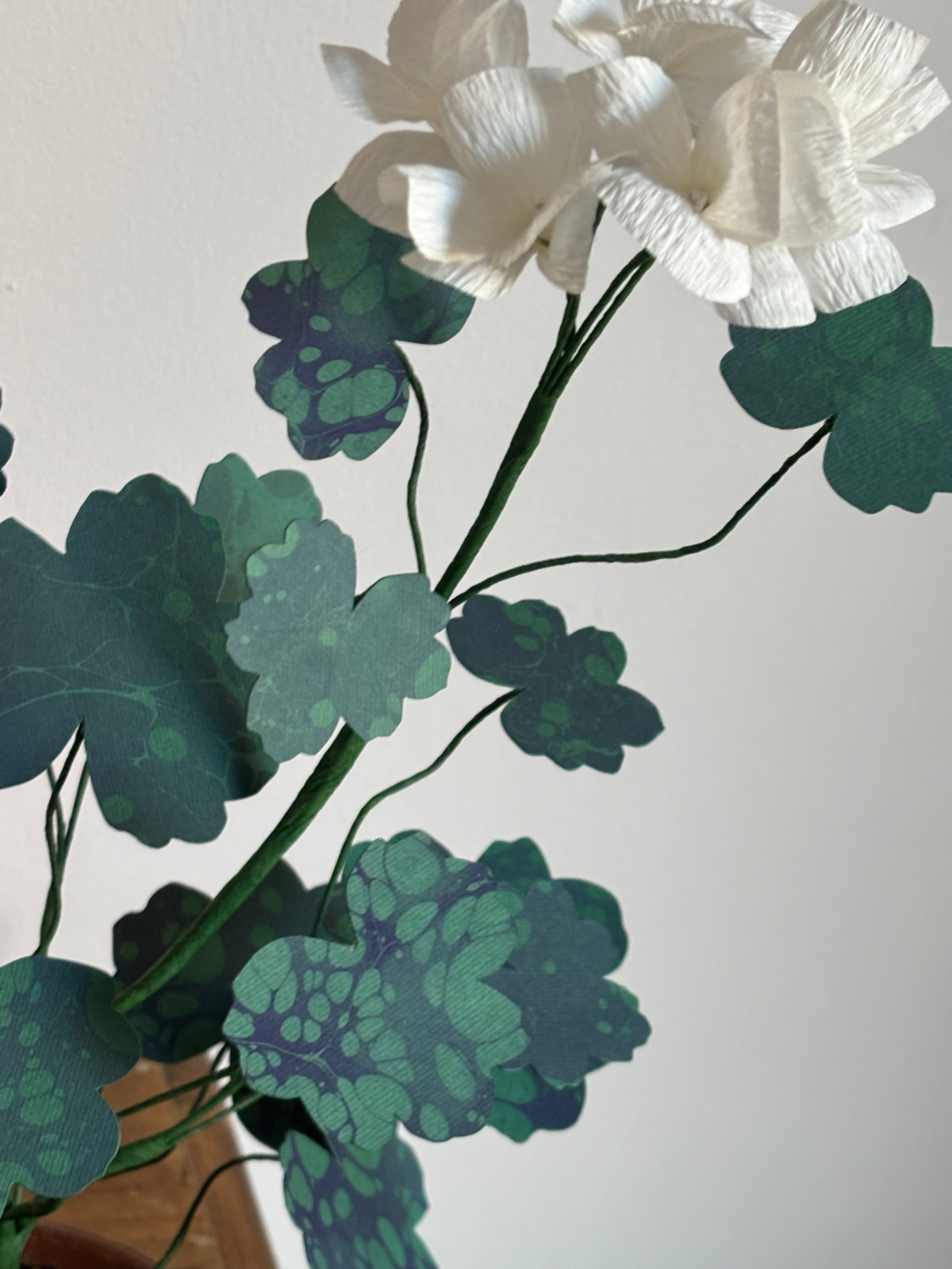 Paper Geranium