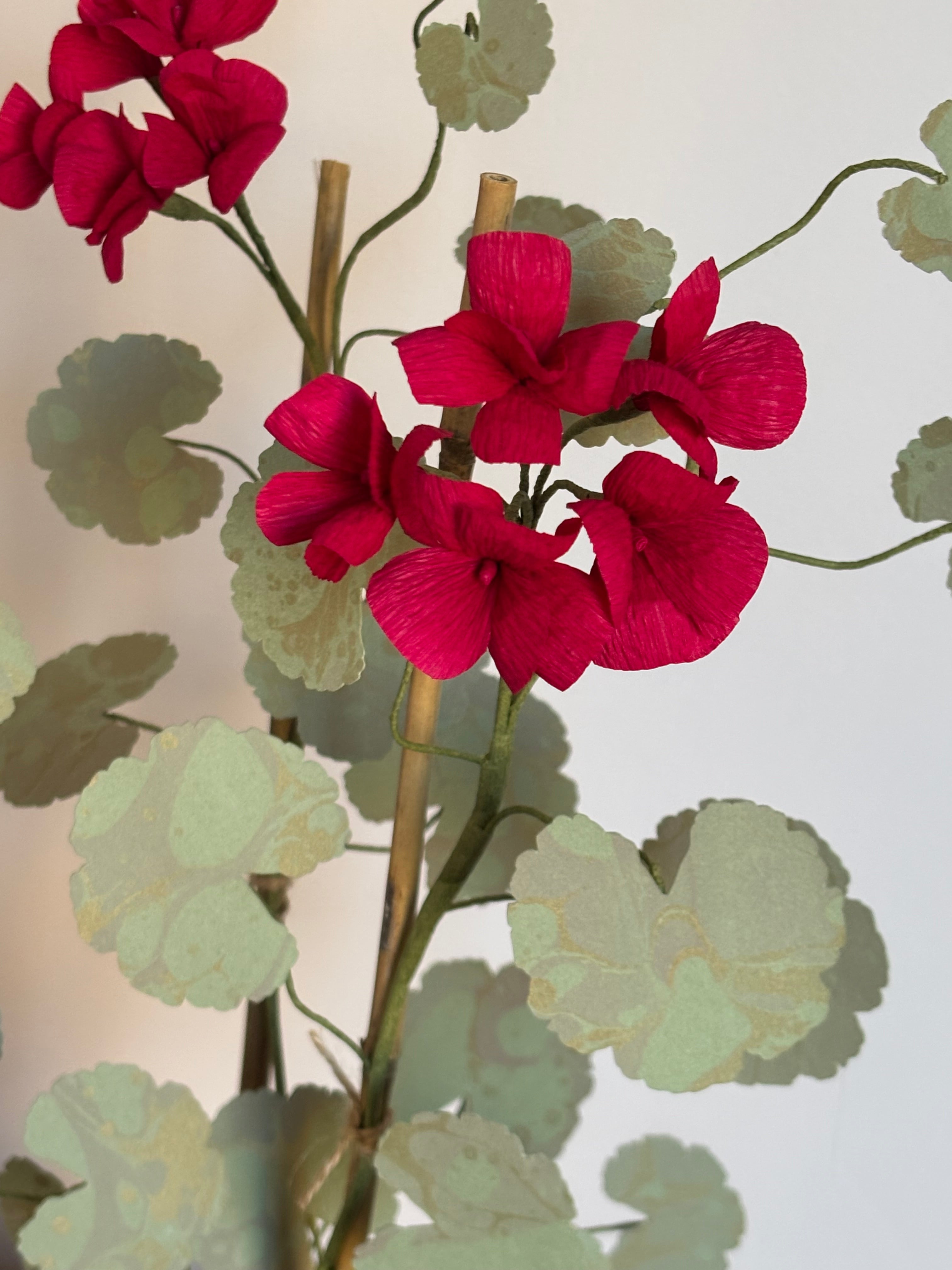 Paper Geranium