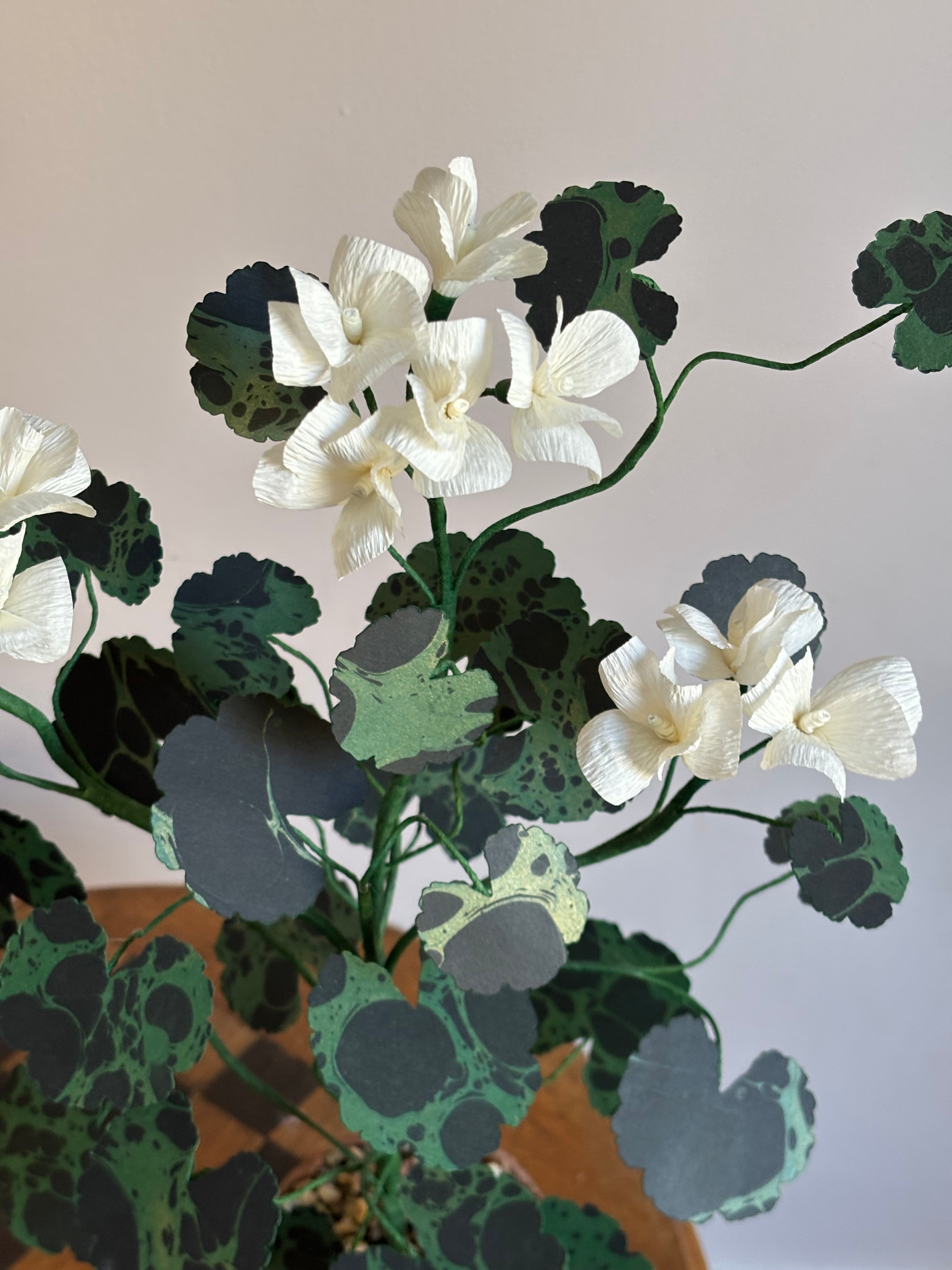 Paper Geranium