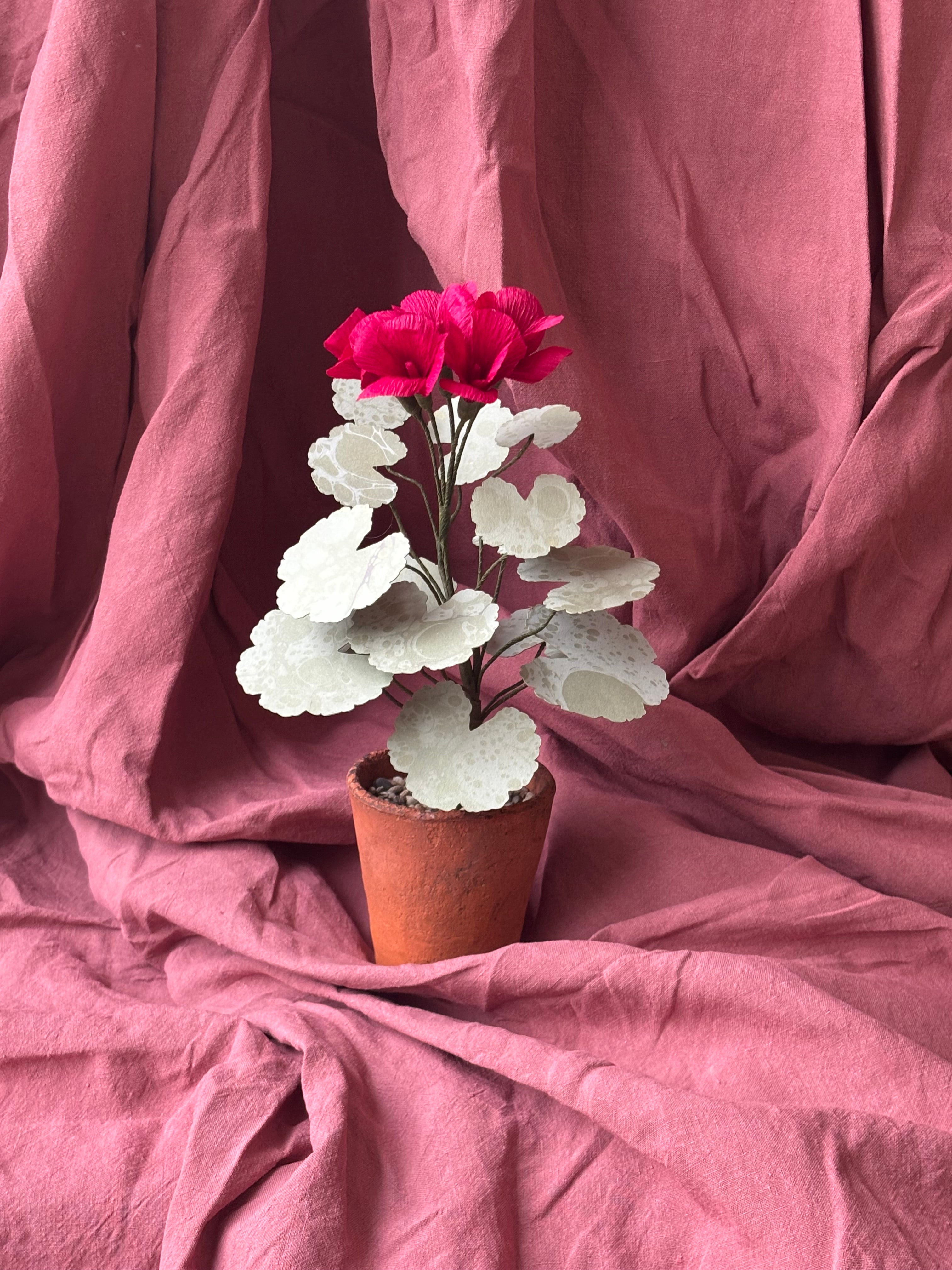 Paper Geranium