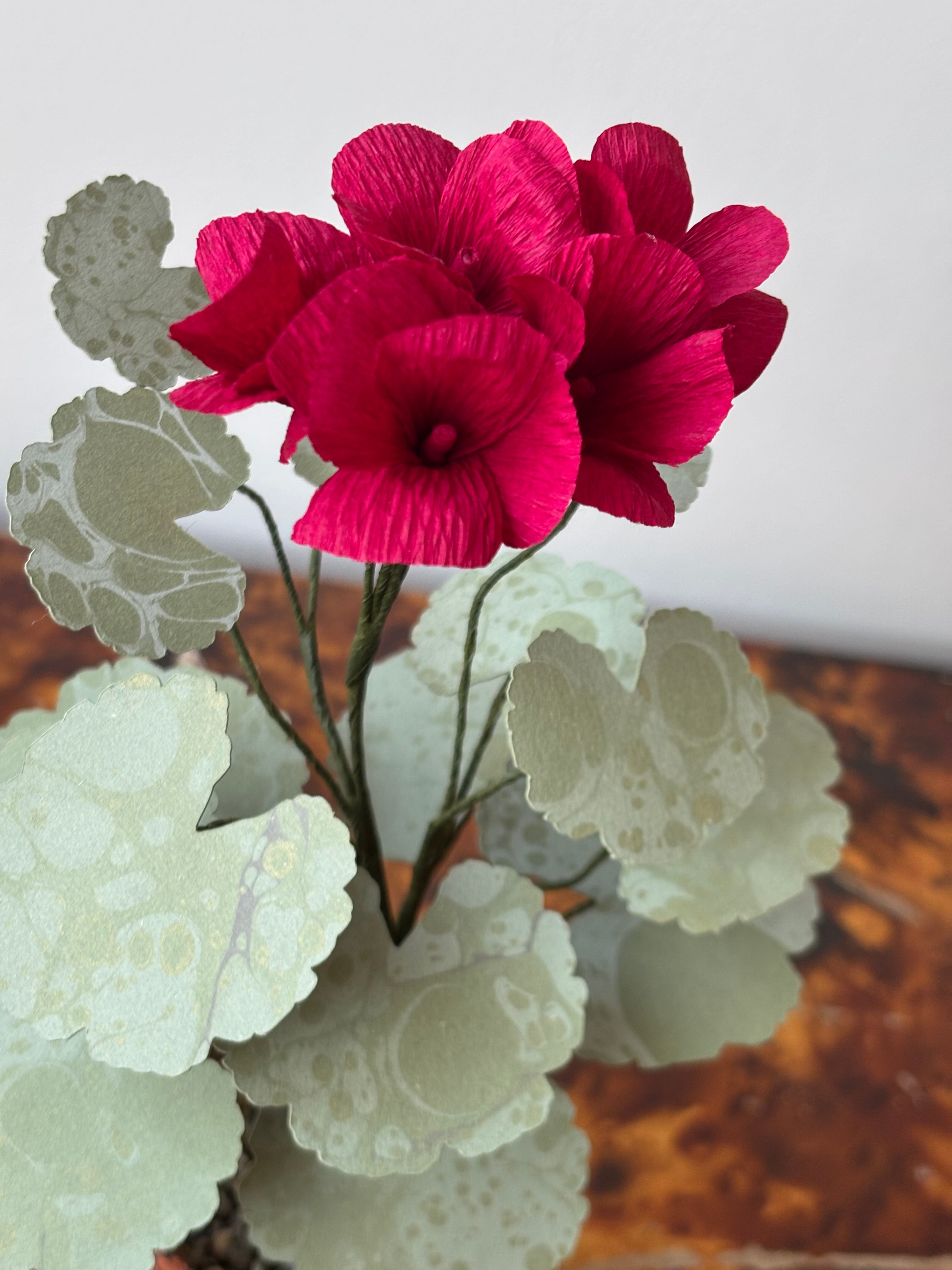 Paper Geranium