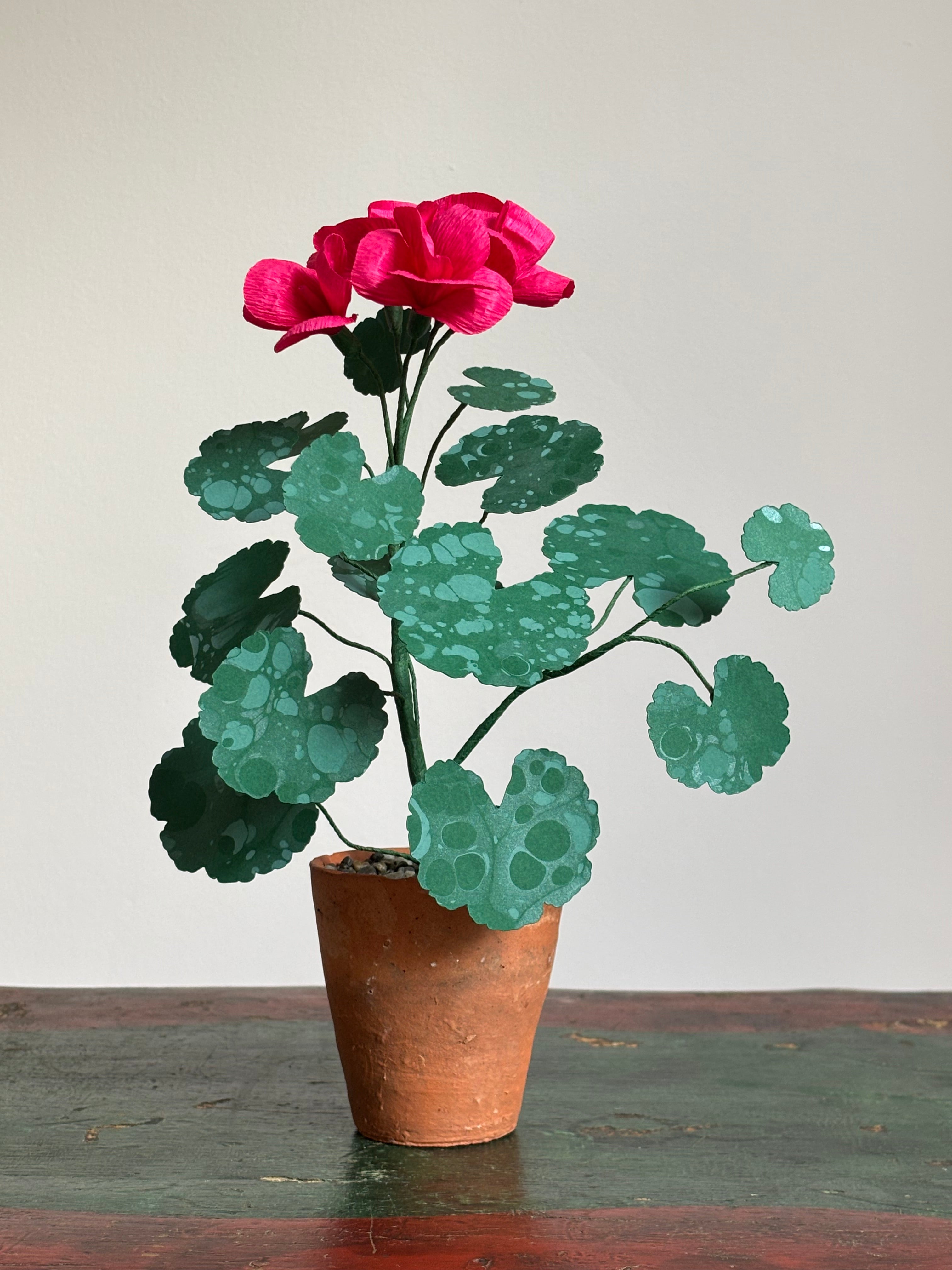 Paper Geranium