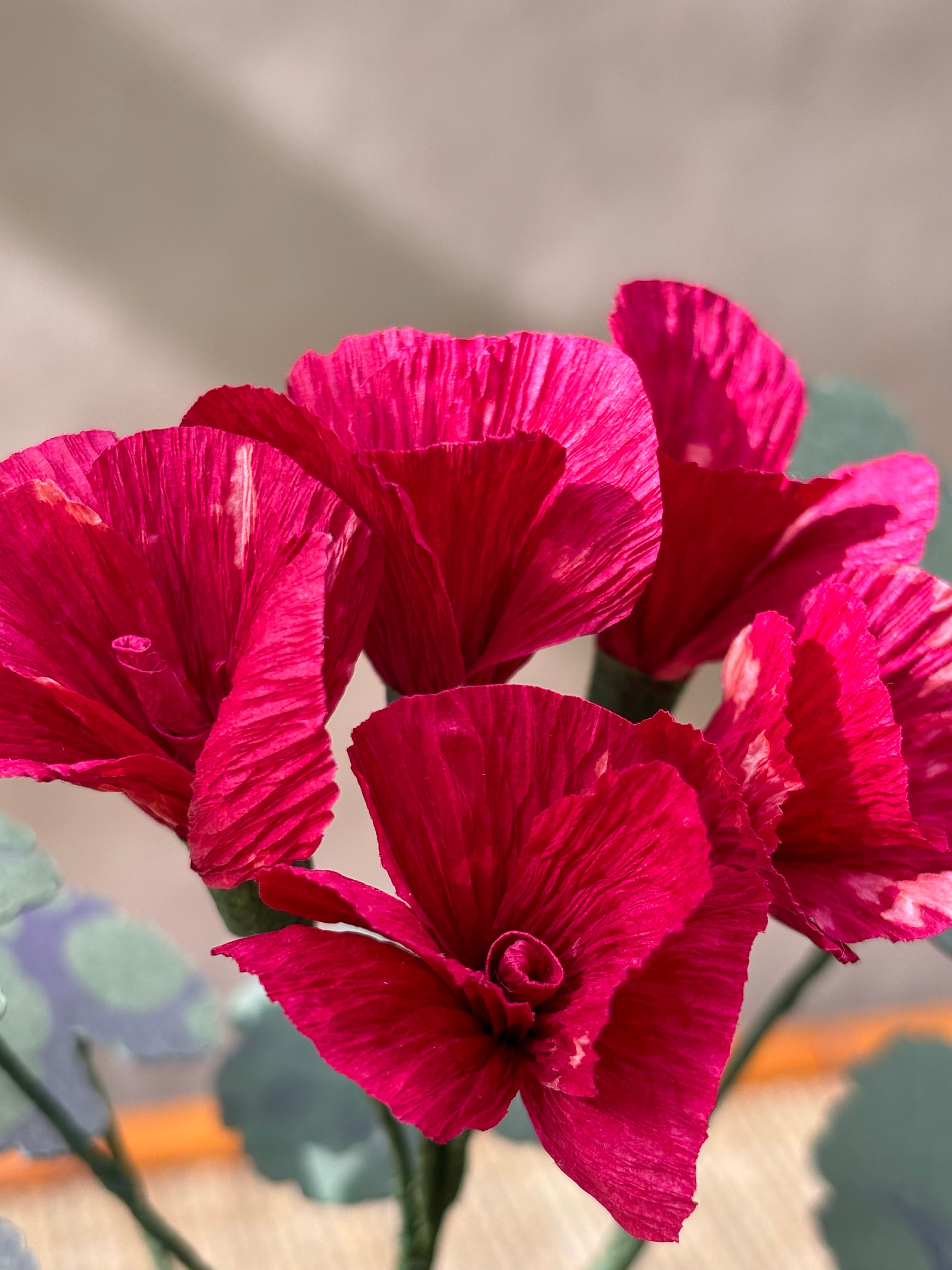 Paper Geranium